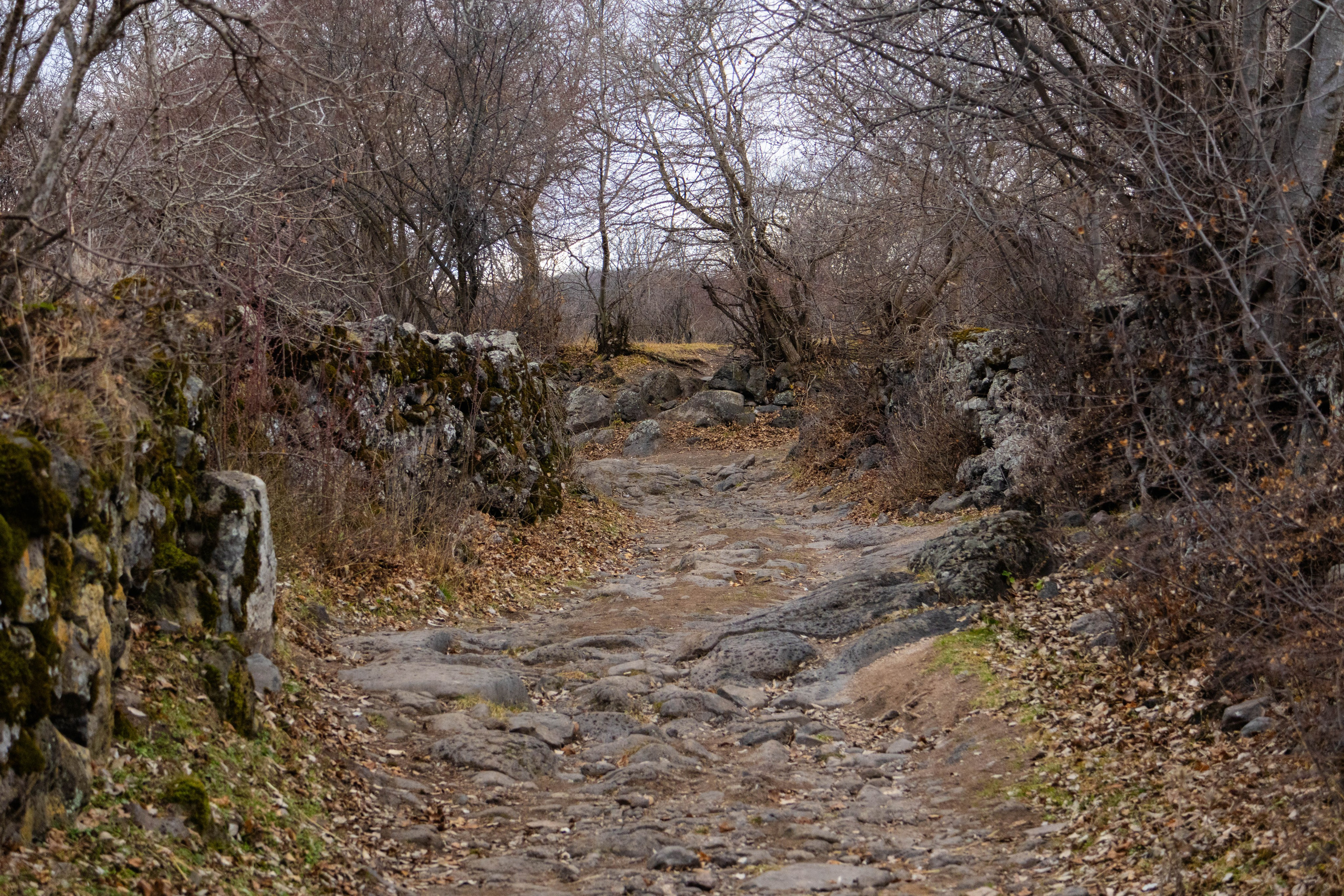 სამშვილდე. FramefreeMan