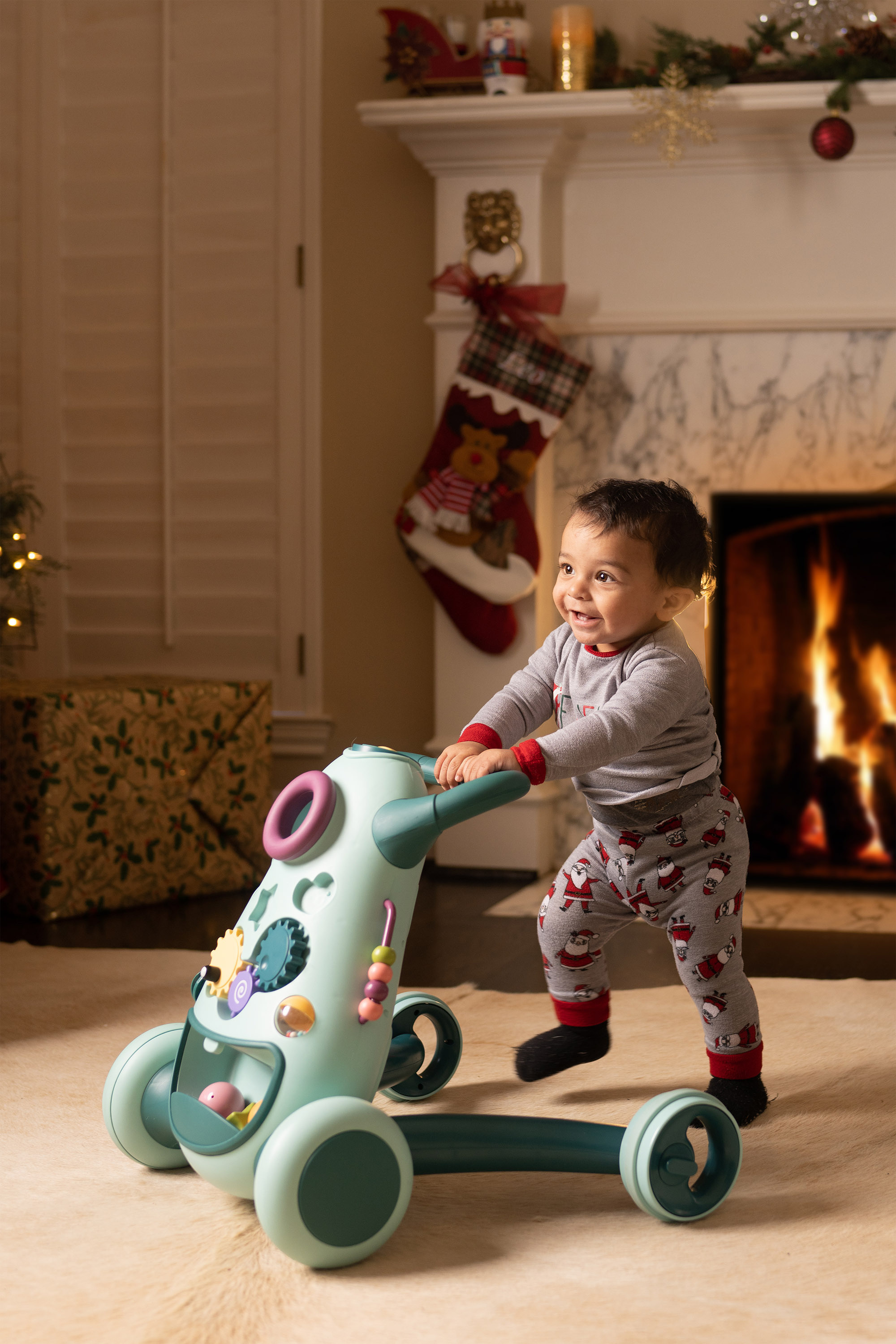 New Year photo sessions 2021. Photographer Irina Kozhemyakina. Houston