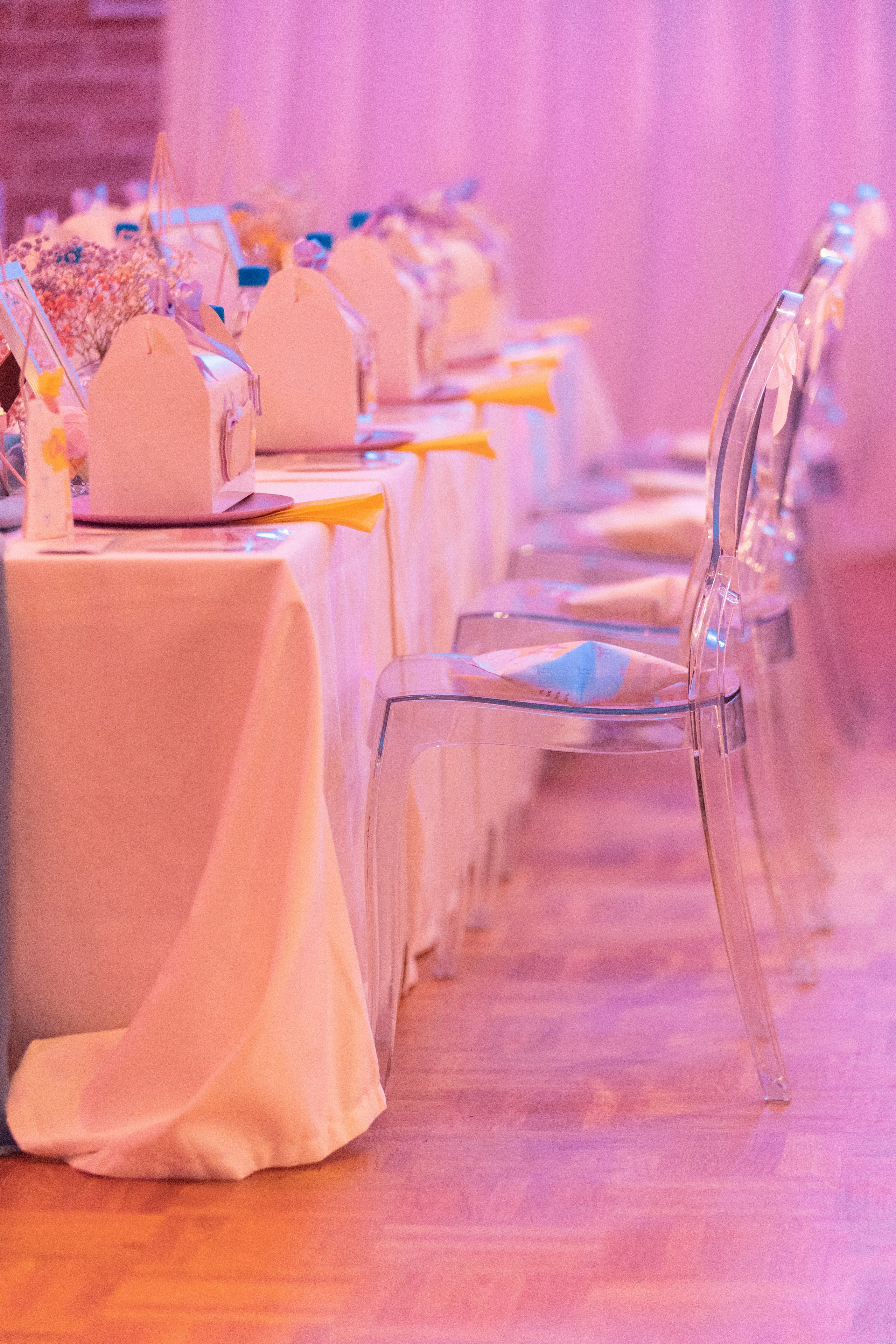 1 st Birthday. Portrait and Family Photographer in Netherlands