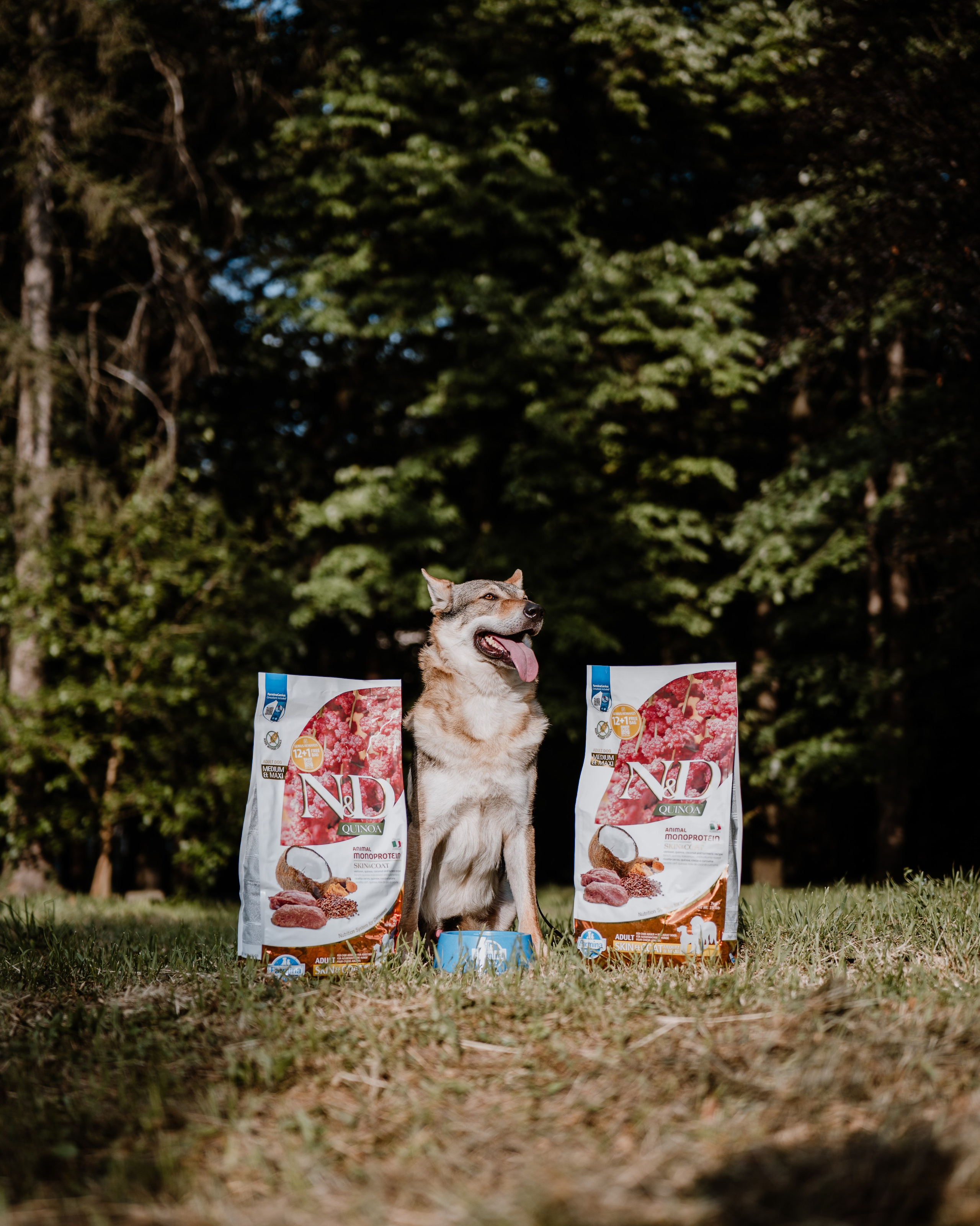 REEL FARMINA - Mâncare de câini