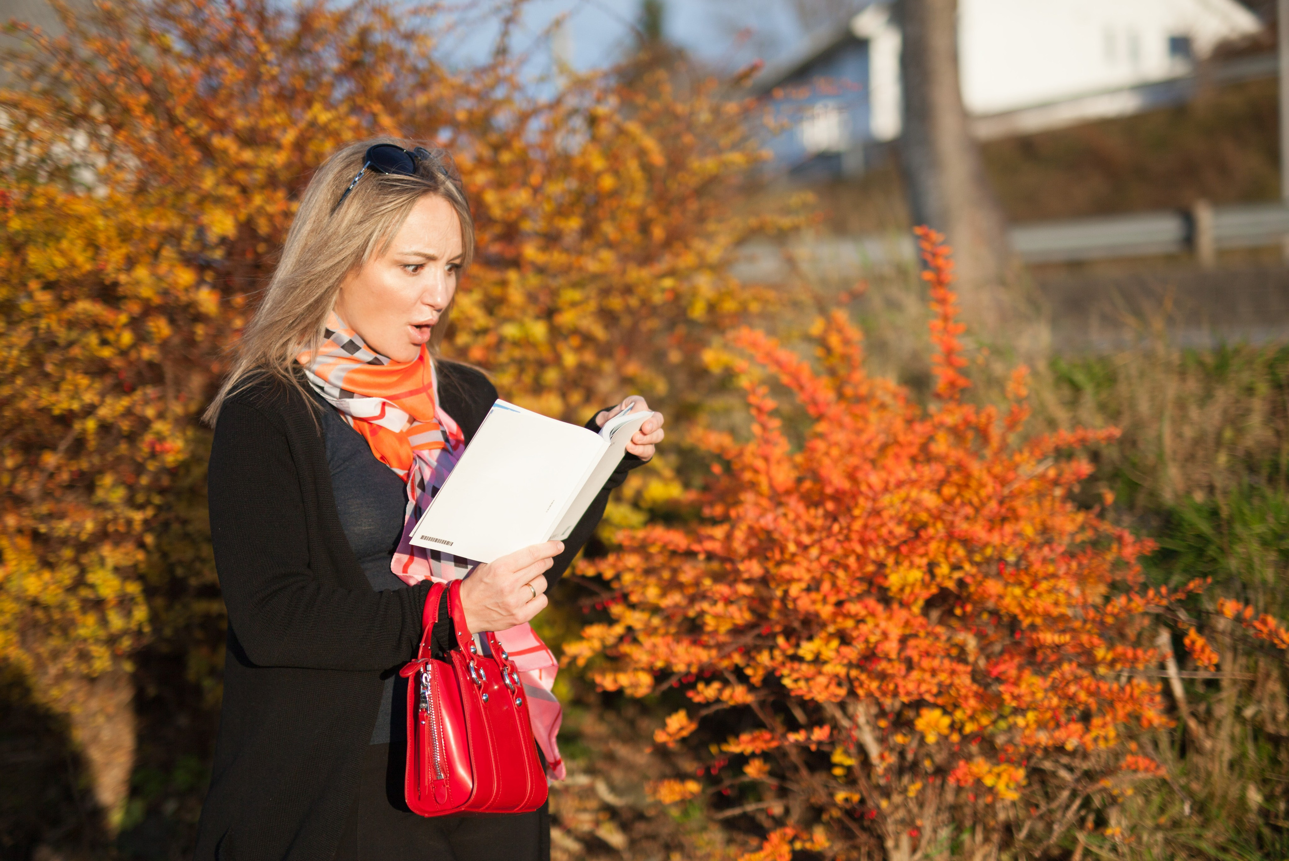 Autumn pears. Family and real state photographer in Haugesund Dina Vikra