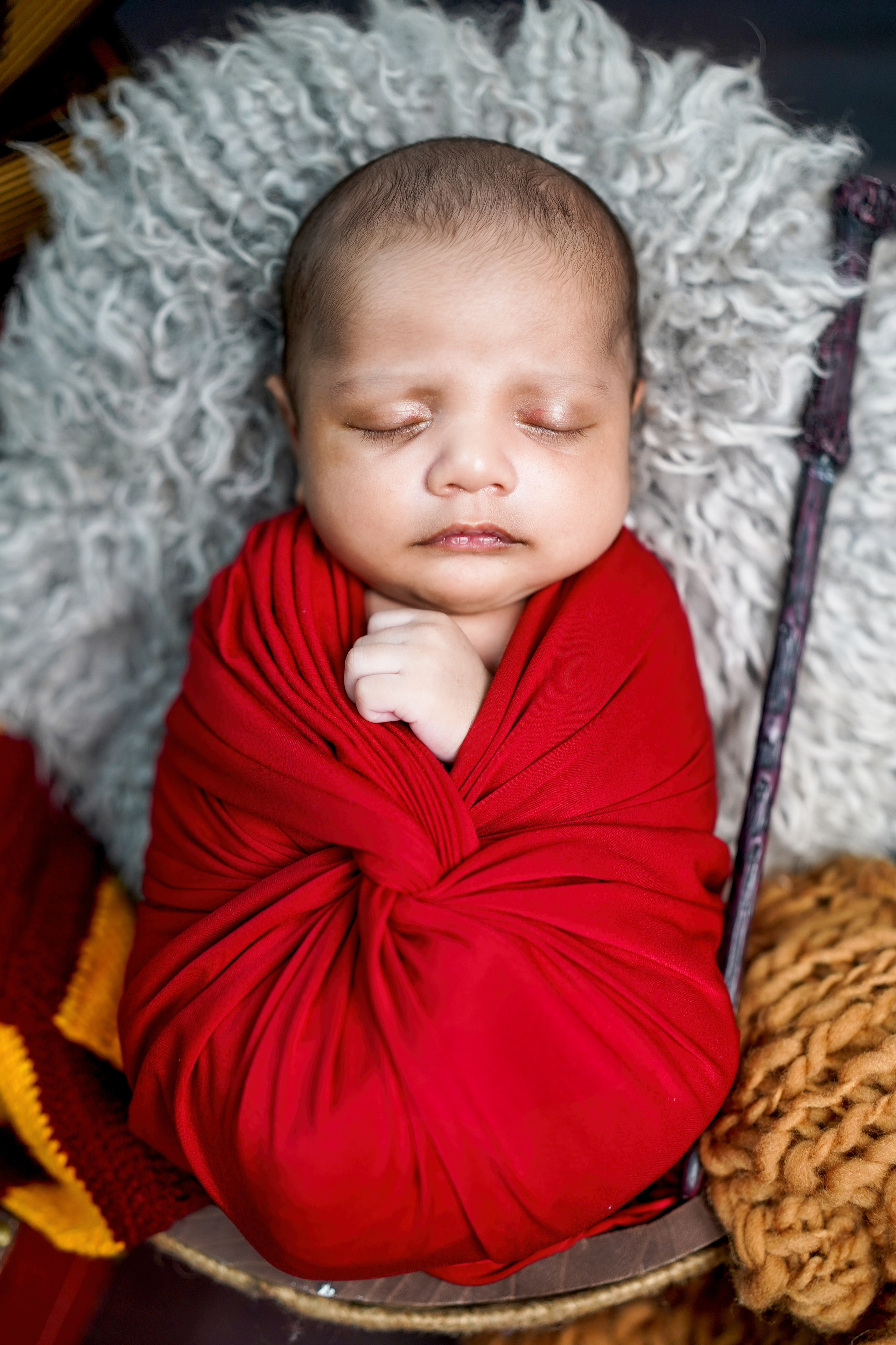 New born. TNF photo & filming