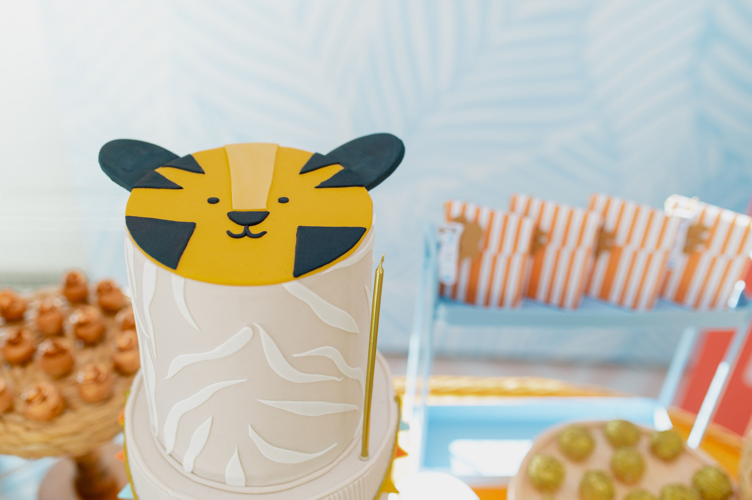 Tito José 1 Ano. Água Carmim Fotografia