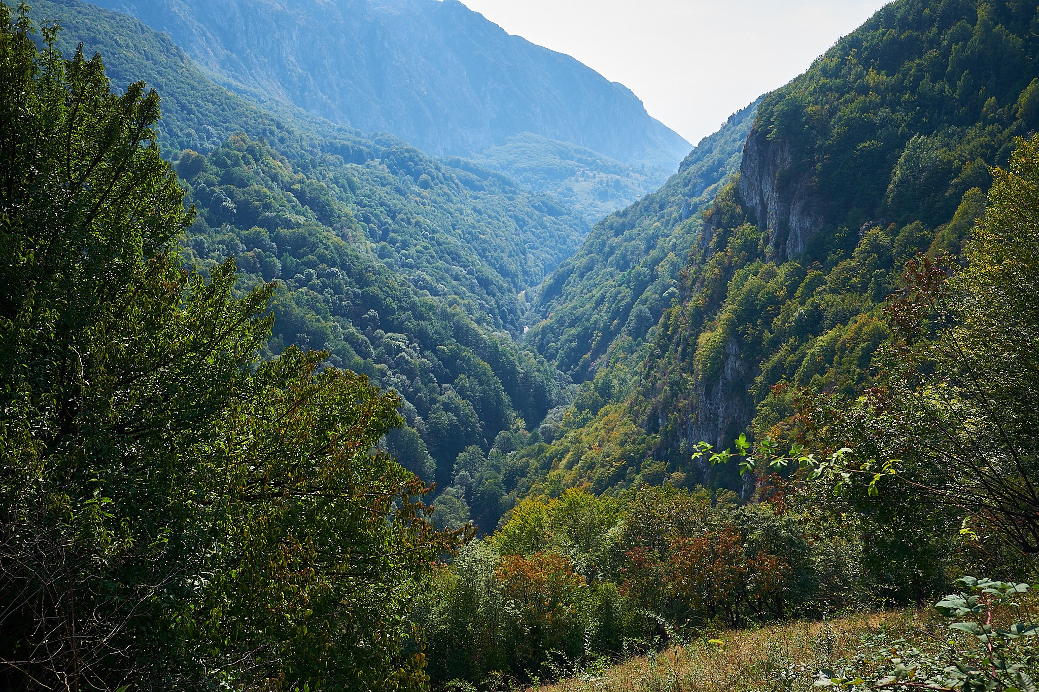 Ineleț, jud. Caraș-Severin. Pagina principală