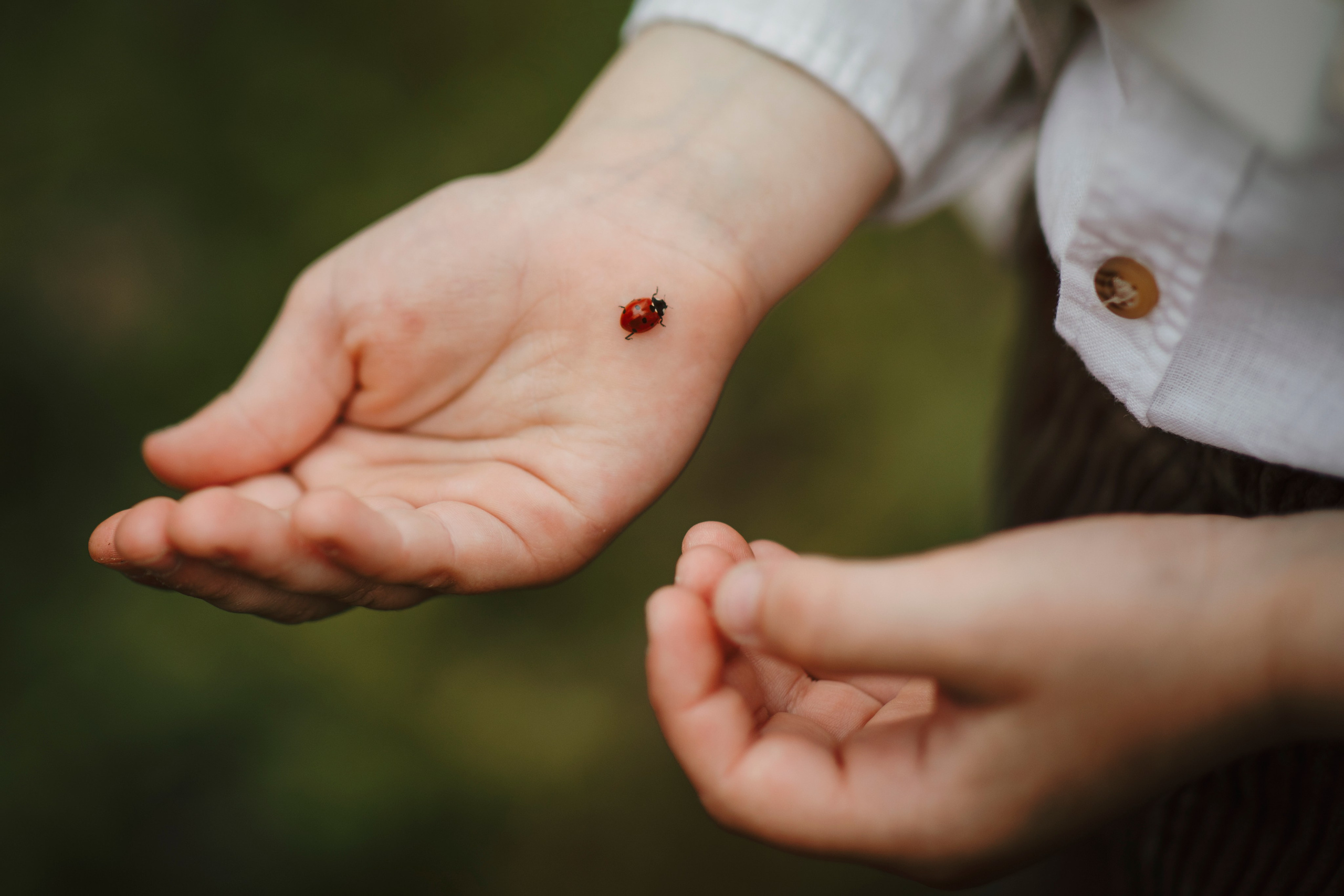 Ședință Foto. Fotograf de eveniment din Buzău | Bogdan