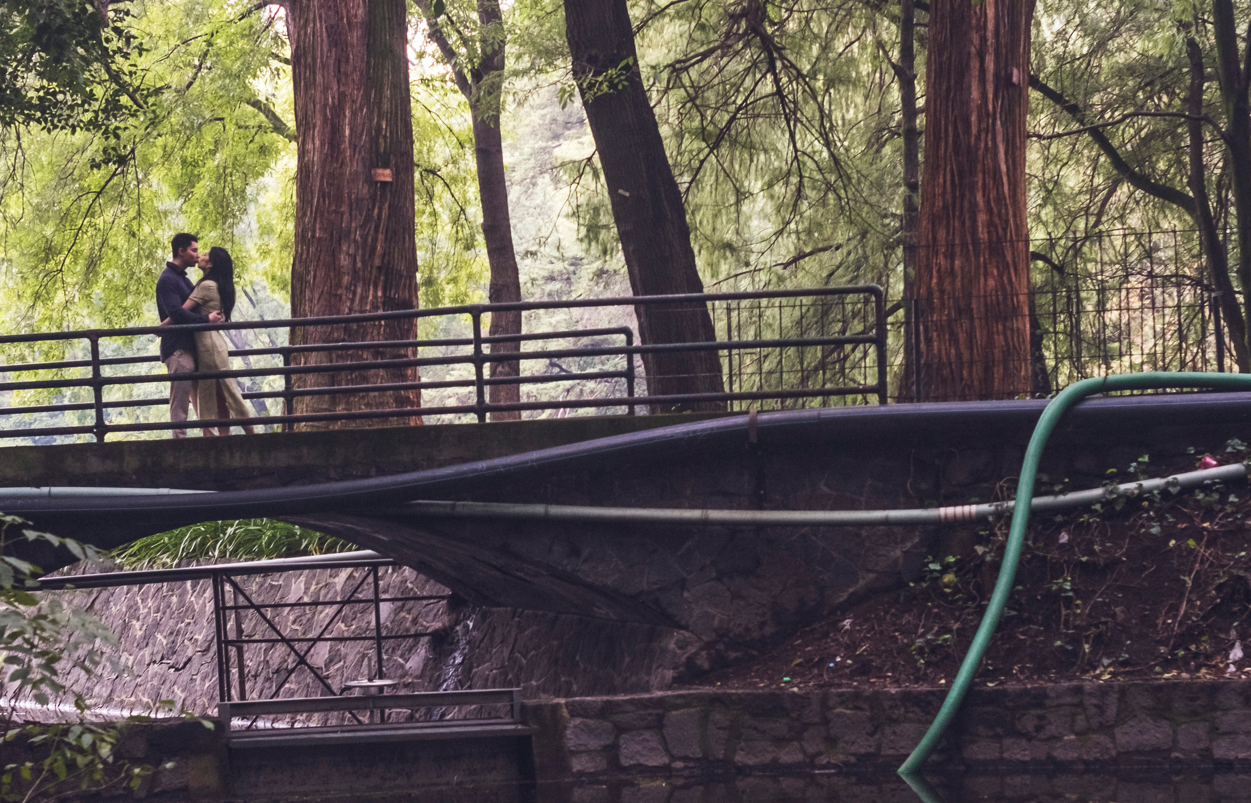 Julie & Marvin. Wedding and family photographer in Mexico City