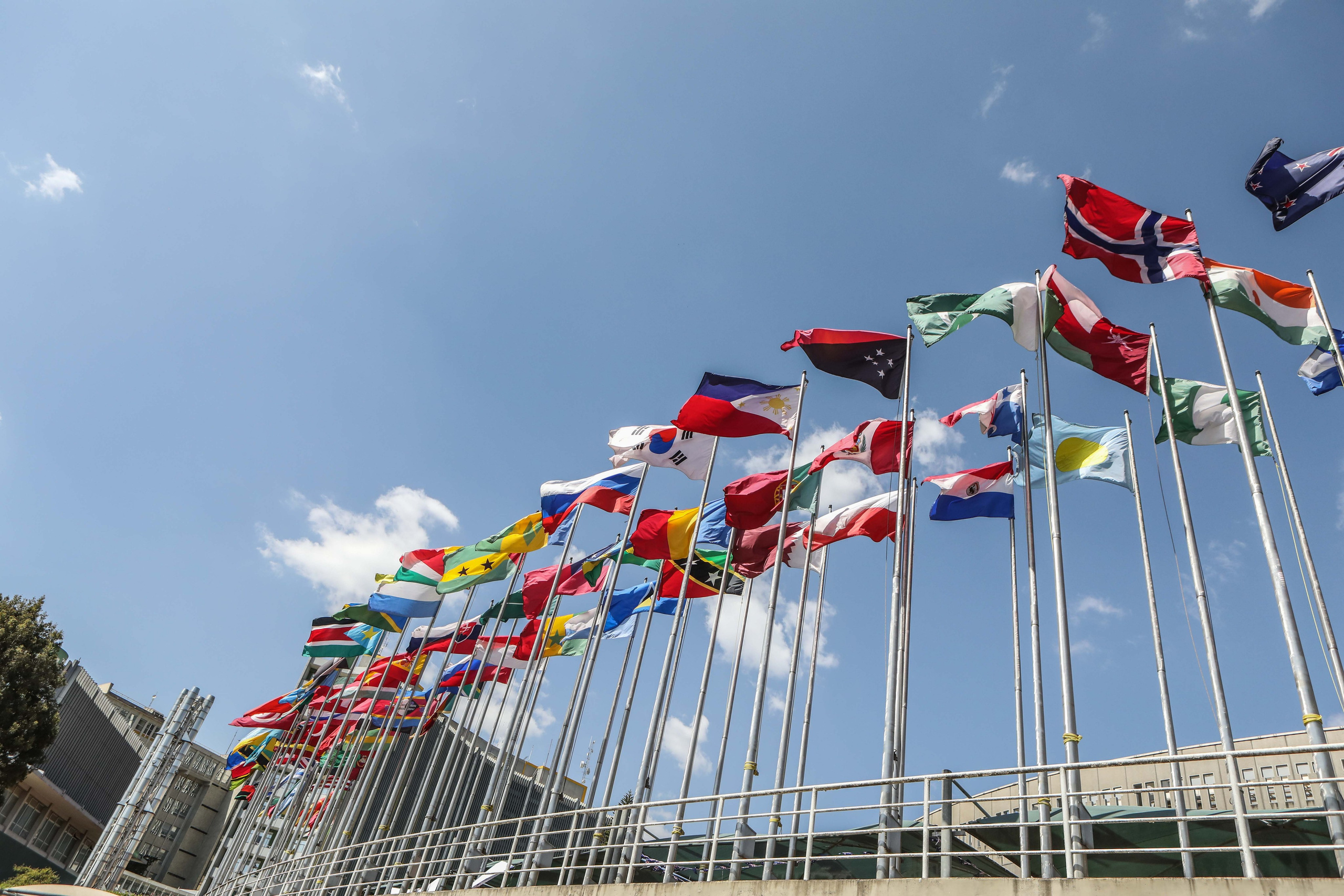 Charity Diplomatic Bazaar. Documentary, lifestile photographer in Morocco Marina Chaikovskaia