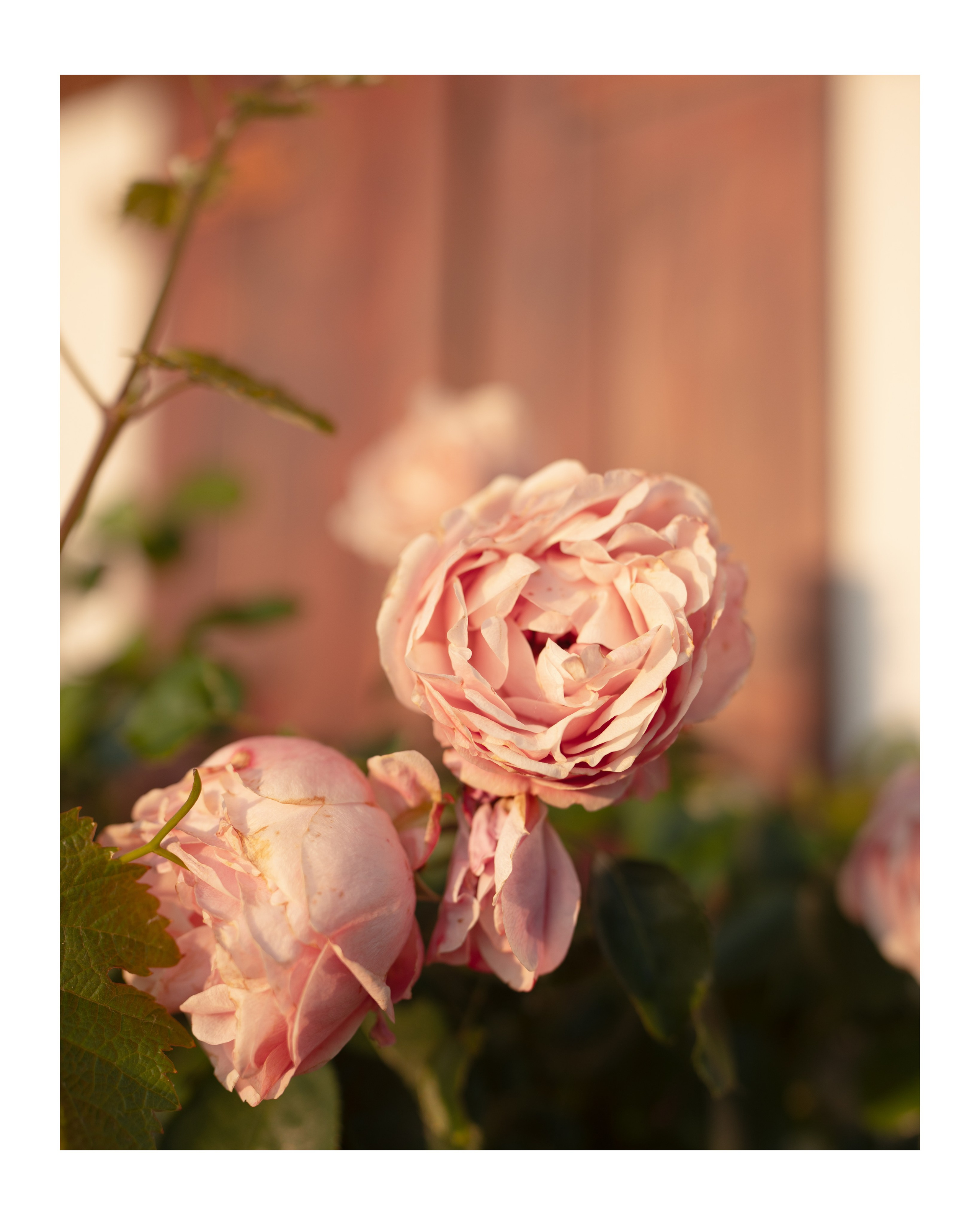 Travel. Visual artist | Fotograf | Stuttgart