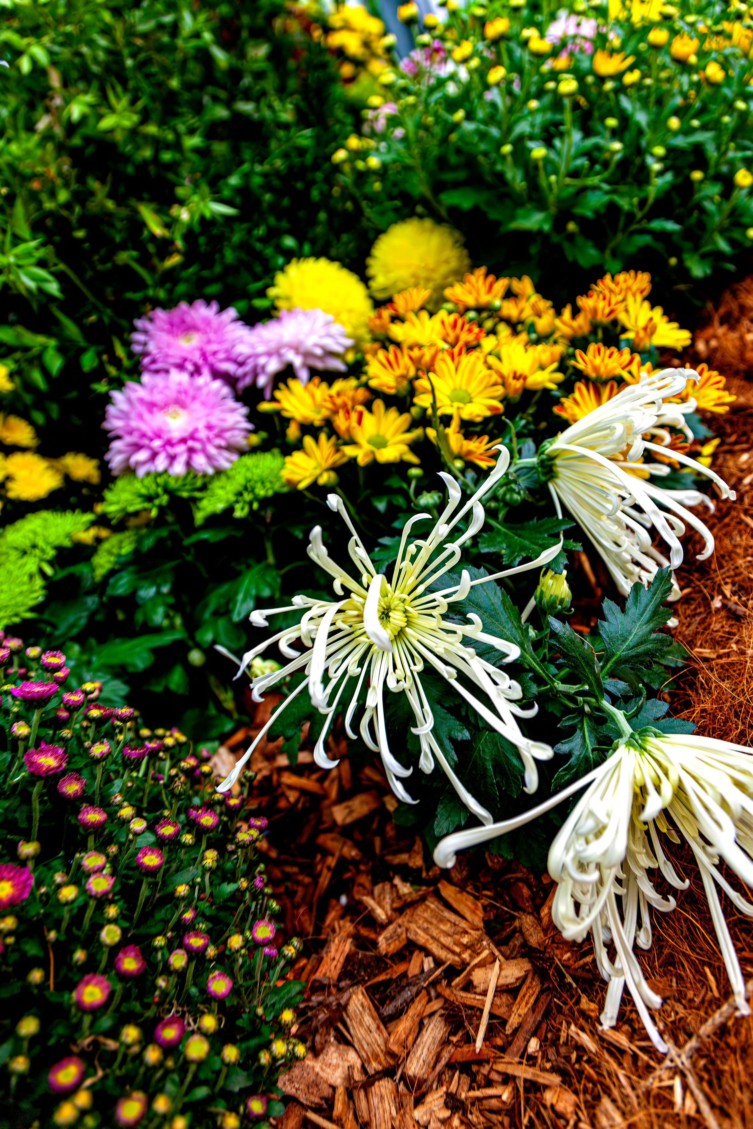 187.Mainau.Germany.24.9.2024. Путешествия в формате 360......