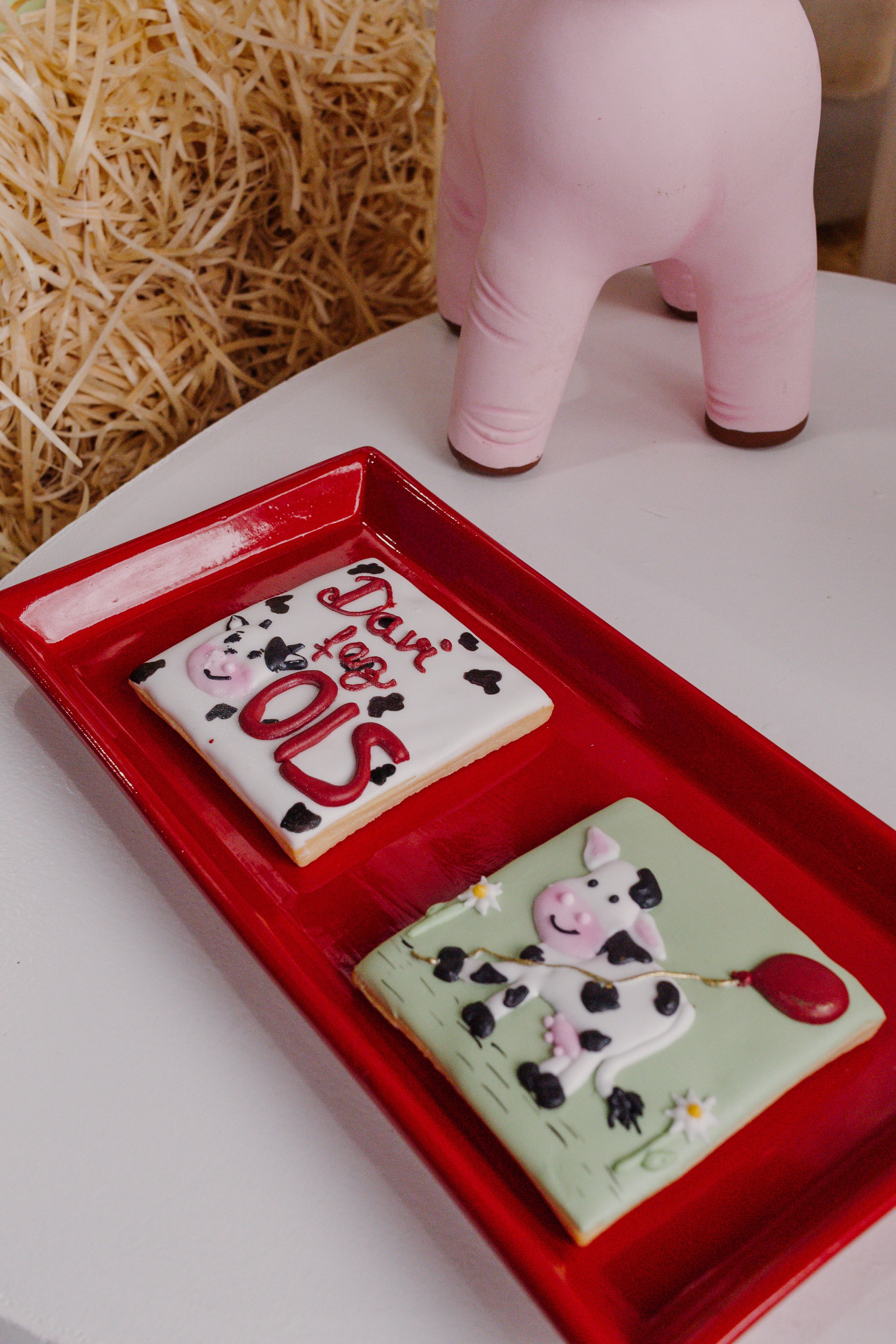 Aniversário infantil da fazendinha, em Biguaçu, Santa Catarina.