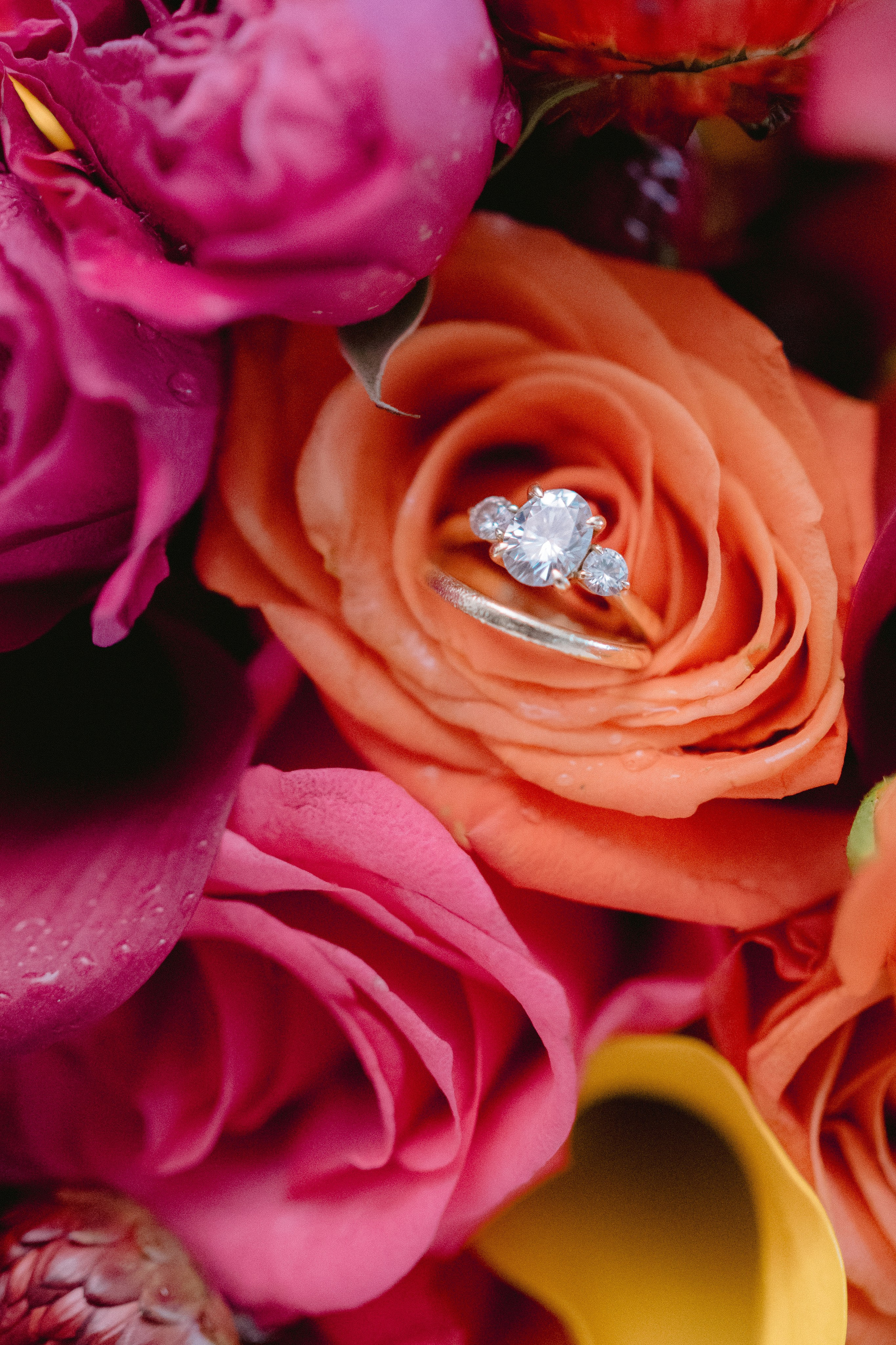 Dominican Republic wedding Pearl beach club. Punta cana wedding family fashion photographer dominican republic, destination wedding photographer, elopement photography Punta Cana