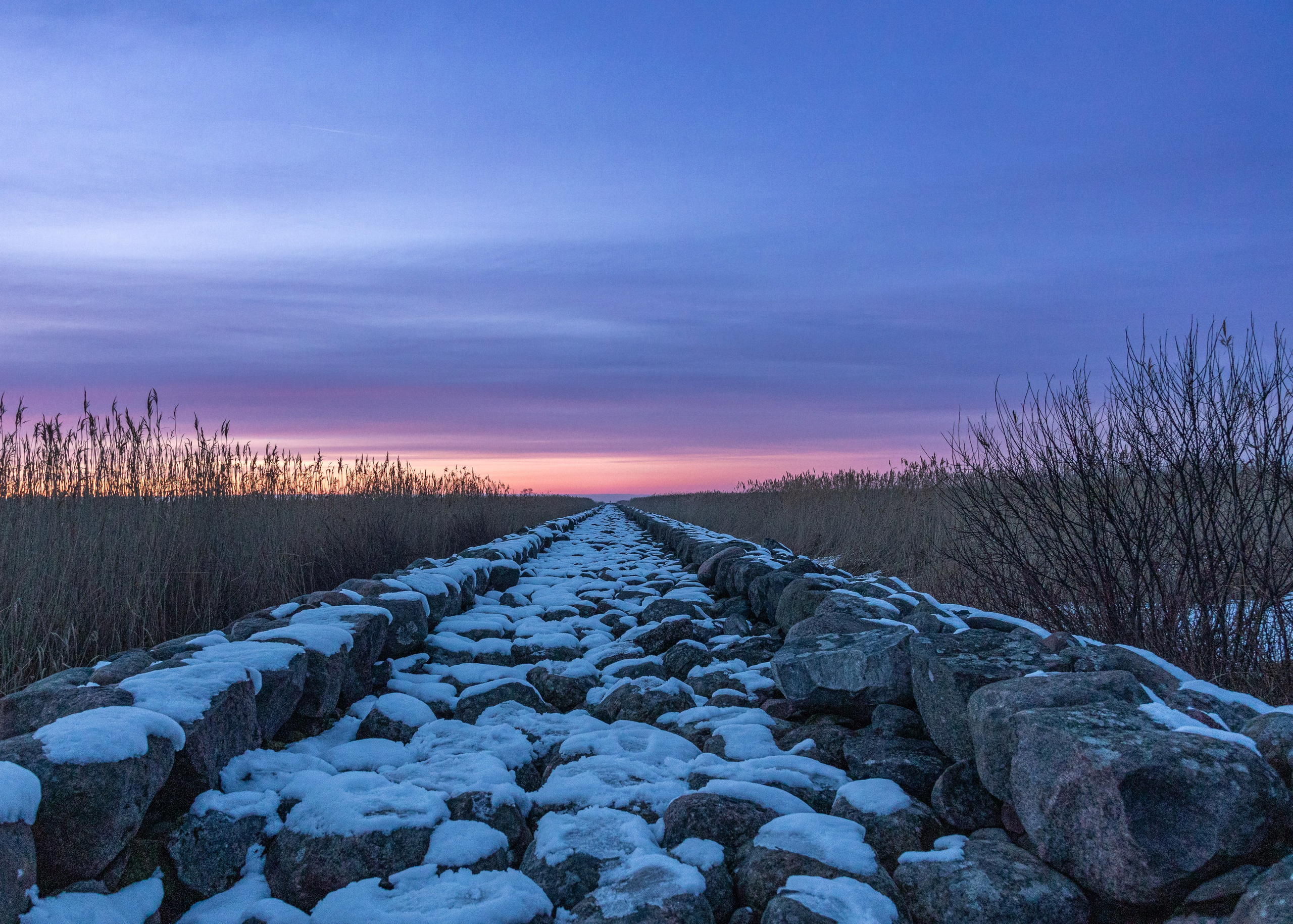Dažādas fotogrāfijas. Sajūtu un mirkļu fotogrāfs no Rīgas, Mārtiņš Babris