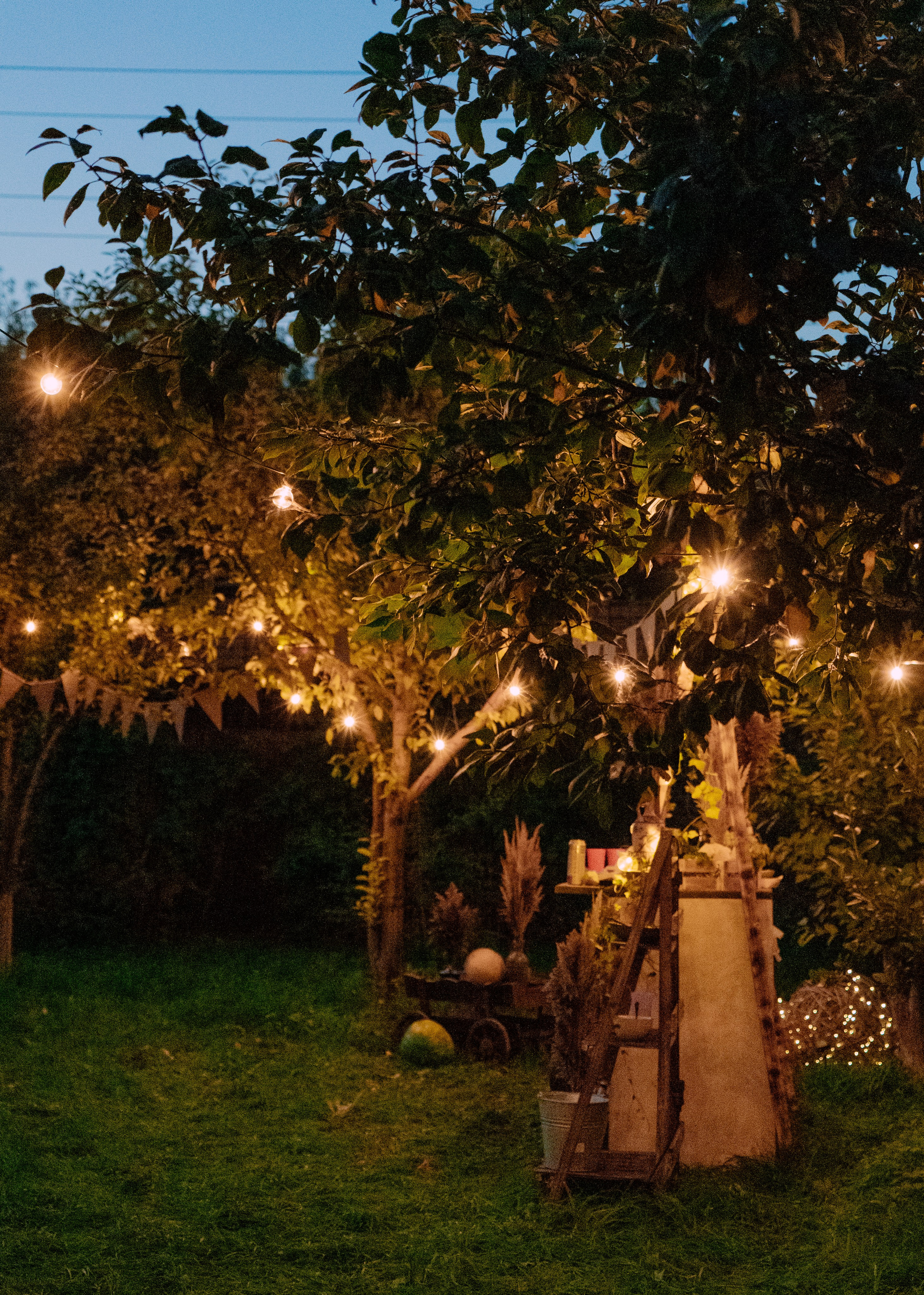 День Рождения Бори. YAADELINA Фотограф Аделина Багдасарян