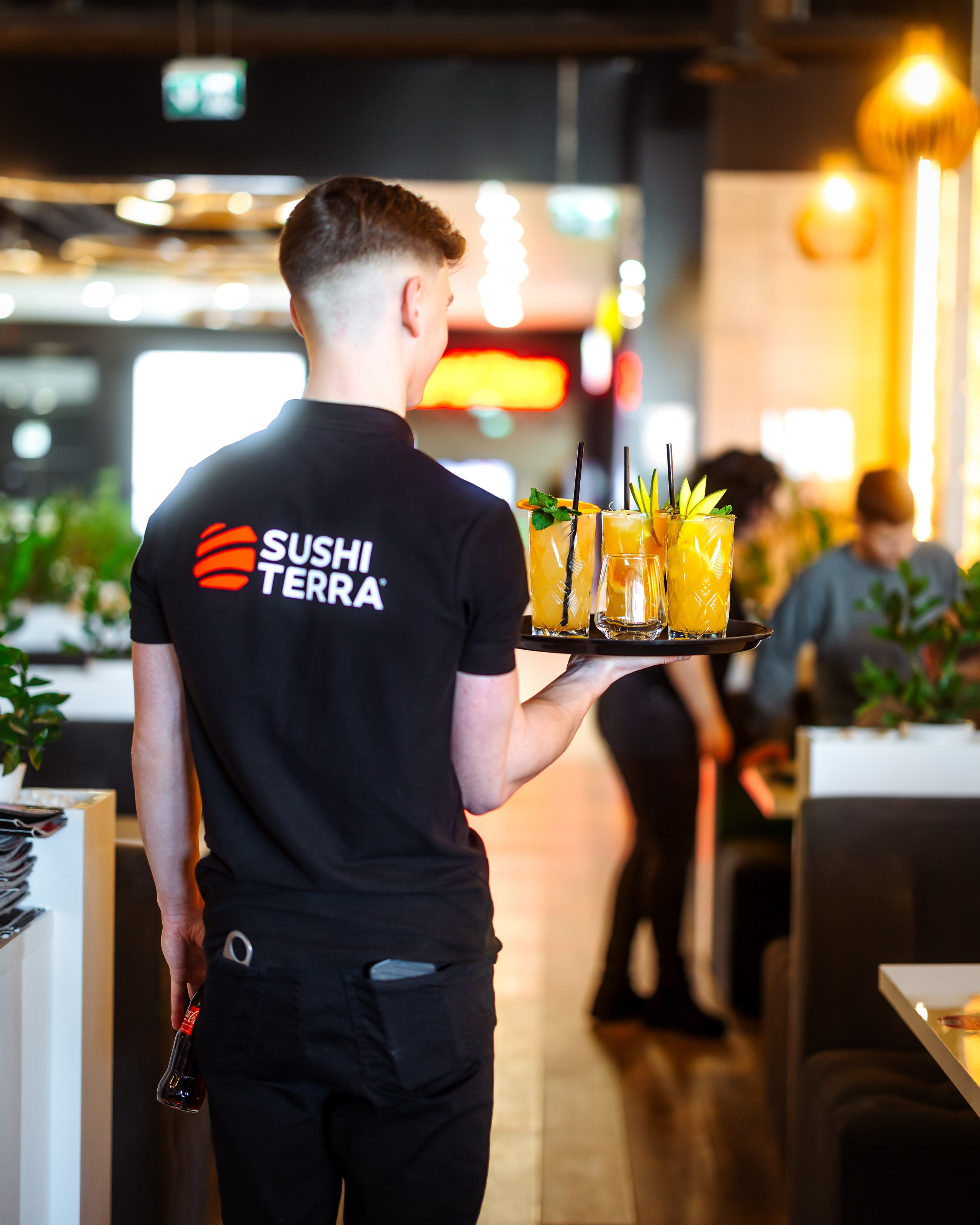 Sushi Terra. Marius Ciocan