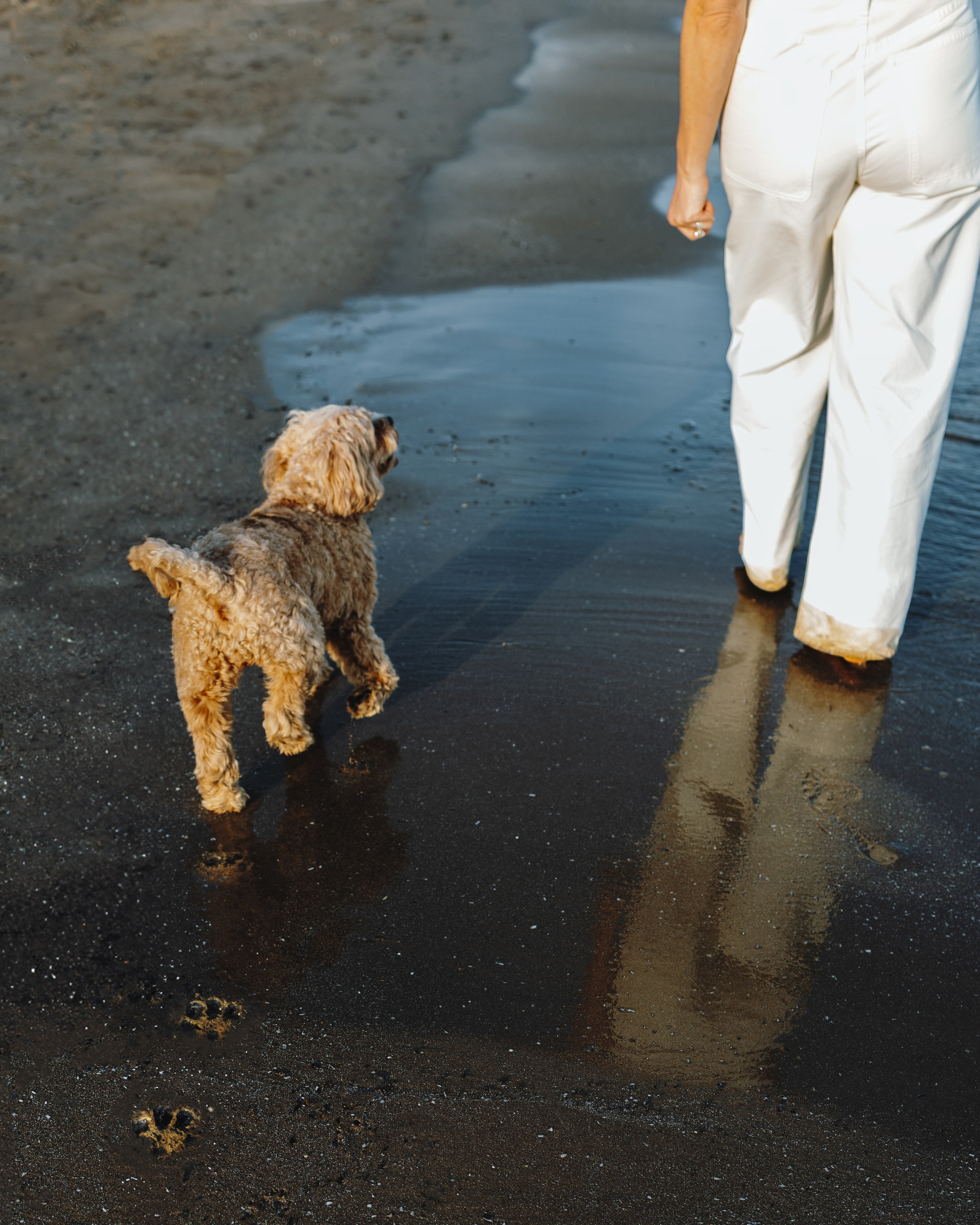 Sunny & Elizabeth. Pet Photographer Viktoriya Aleshenko