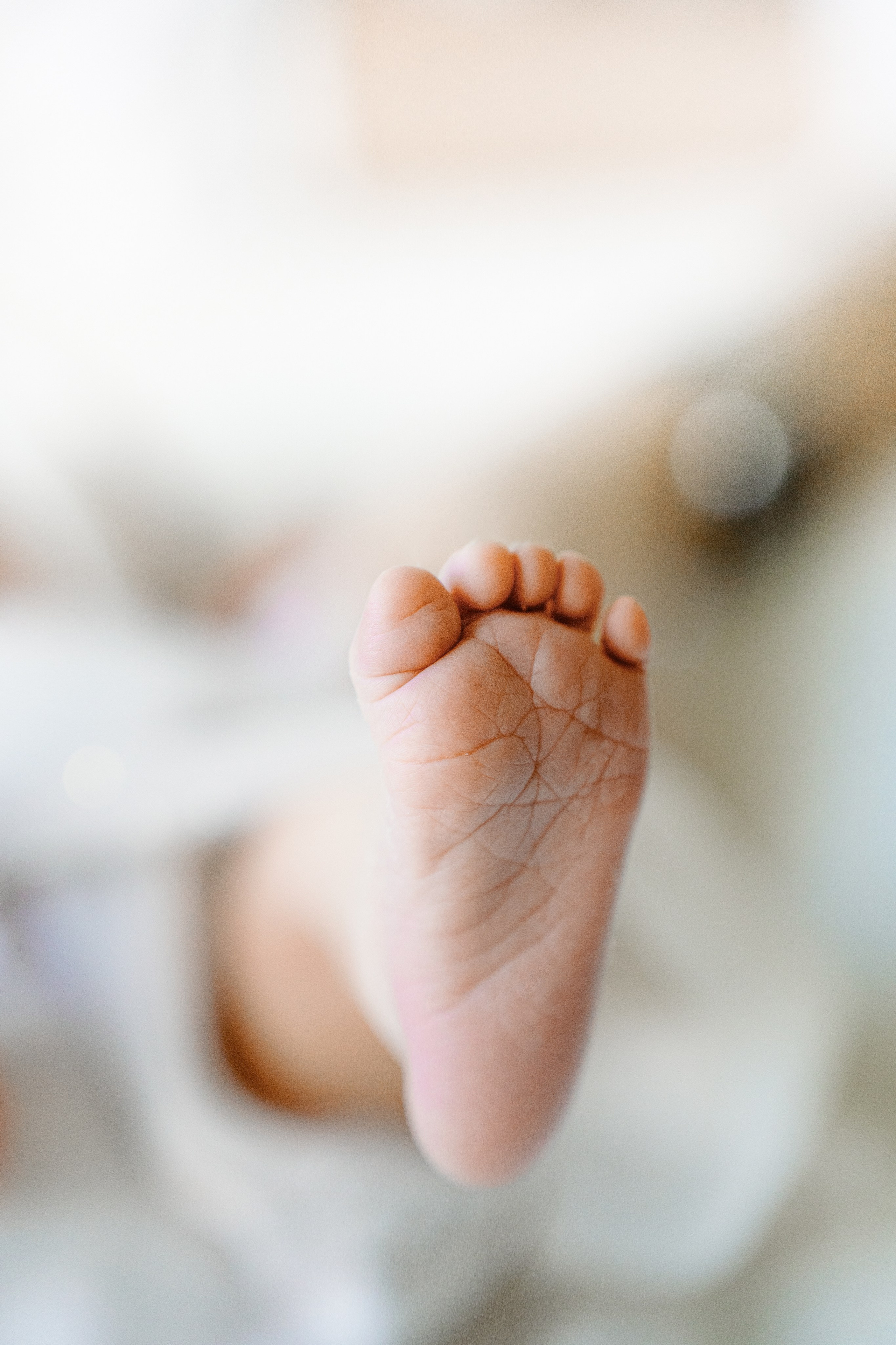 New born. Photographer in Portugal Polina Gotovaya