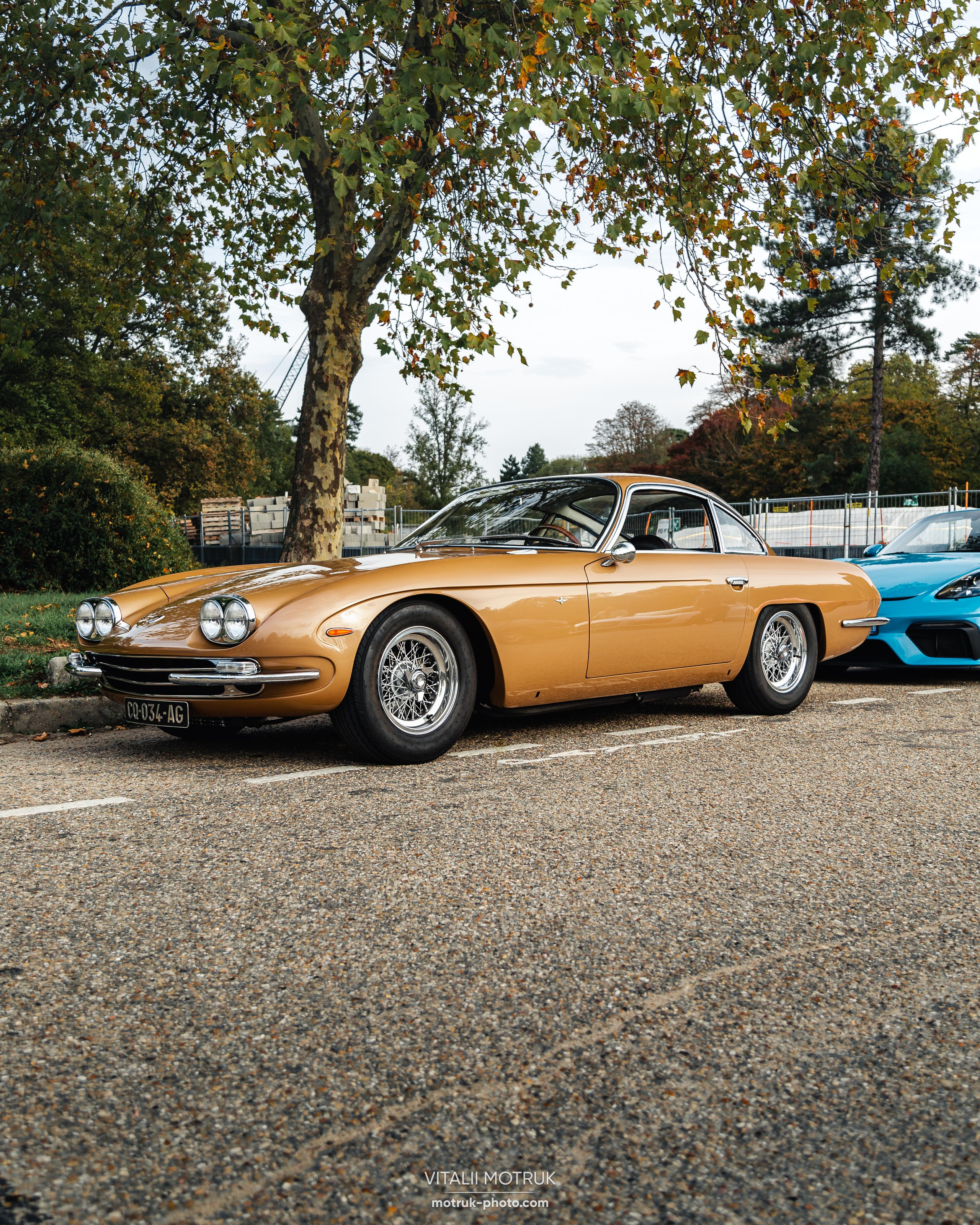 Rassamblement a l’Auteuil. Photographe de voitures à Paris — Vitalii Motruk