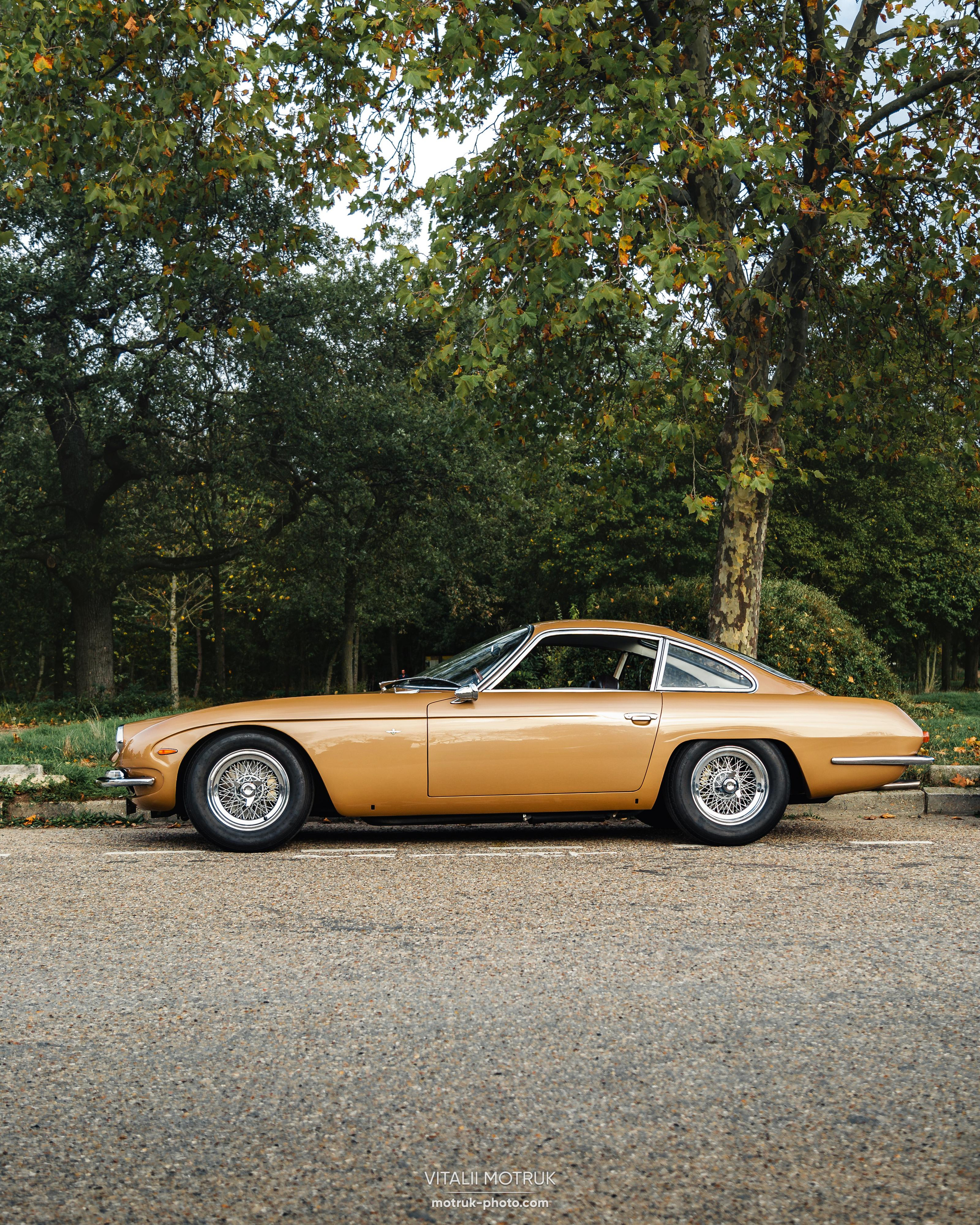 Rassamblement a l’Auteuil. Photographe de voitures à Paris — Vitalii Motruk