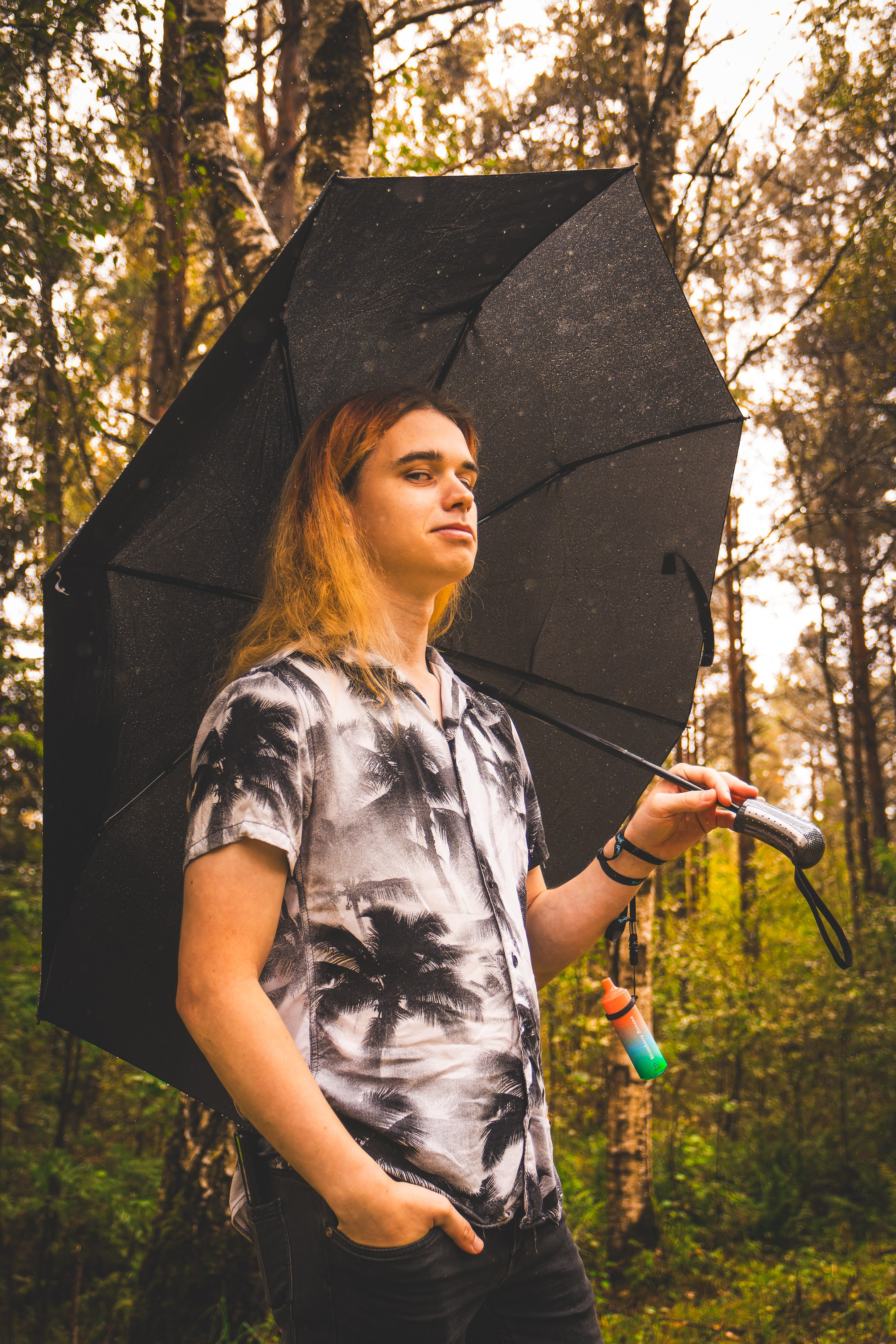 Mets, vihm ja jahedus (Dimitry). Nebula 25 — Fotod teie hingele