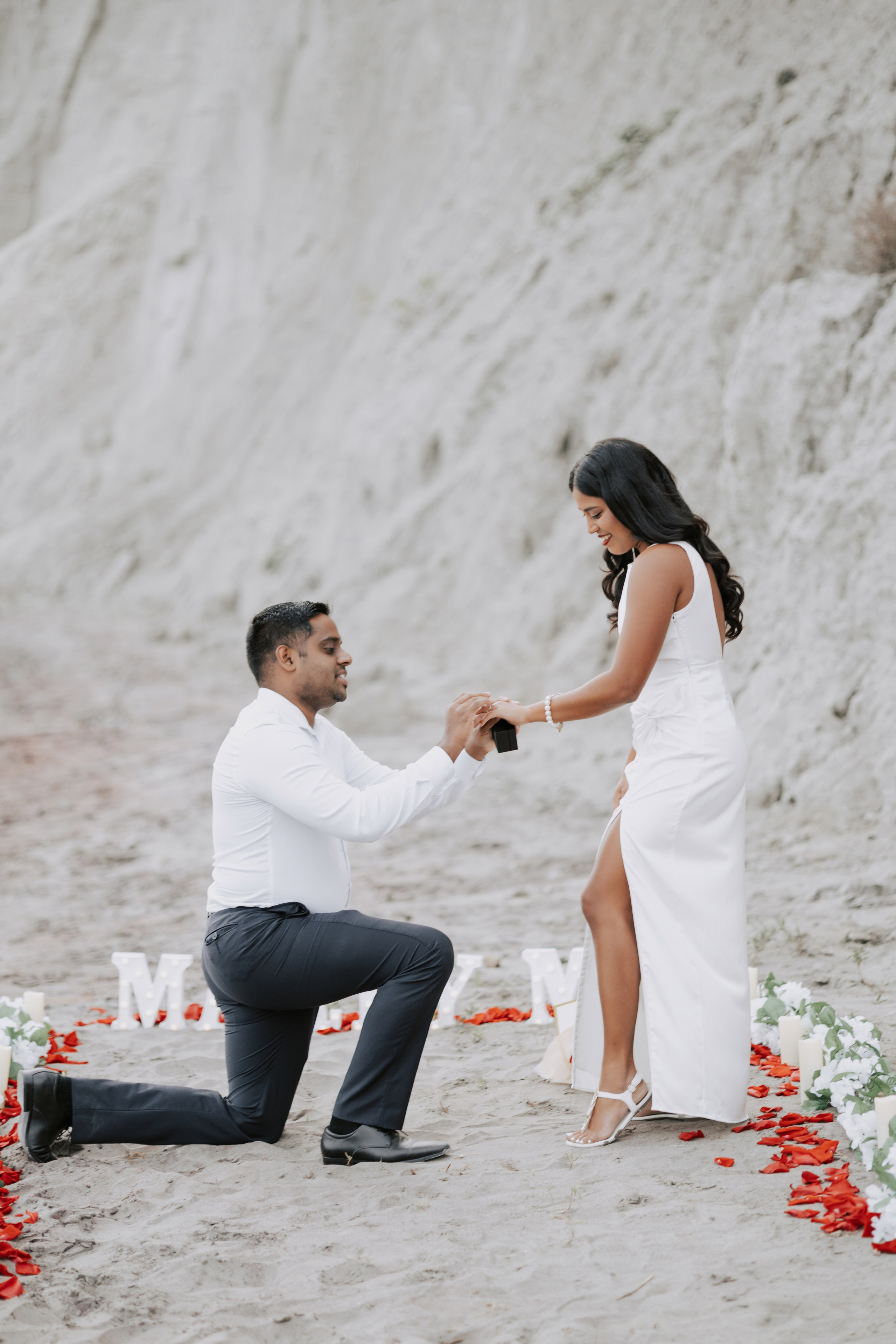 Proposal Scarborough Bluffs. Chernenko.photography