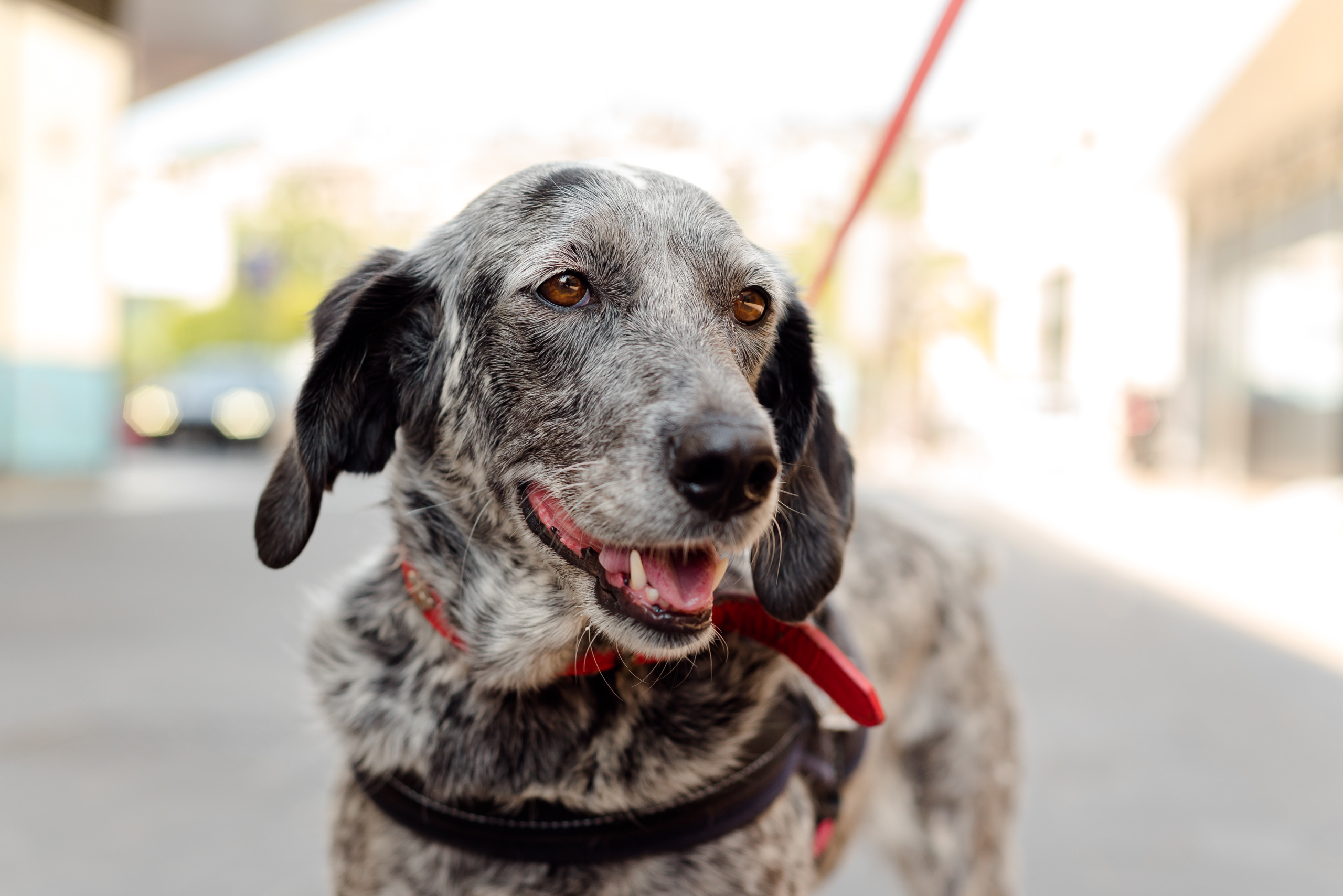 Un jour à Nice. Famille H&T. MARIA VALUEVA Photographer in Nice, Cannes, Monaco, France, Europe, Istanbulm Turquie