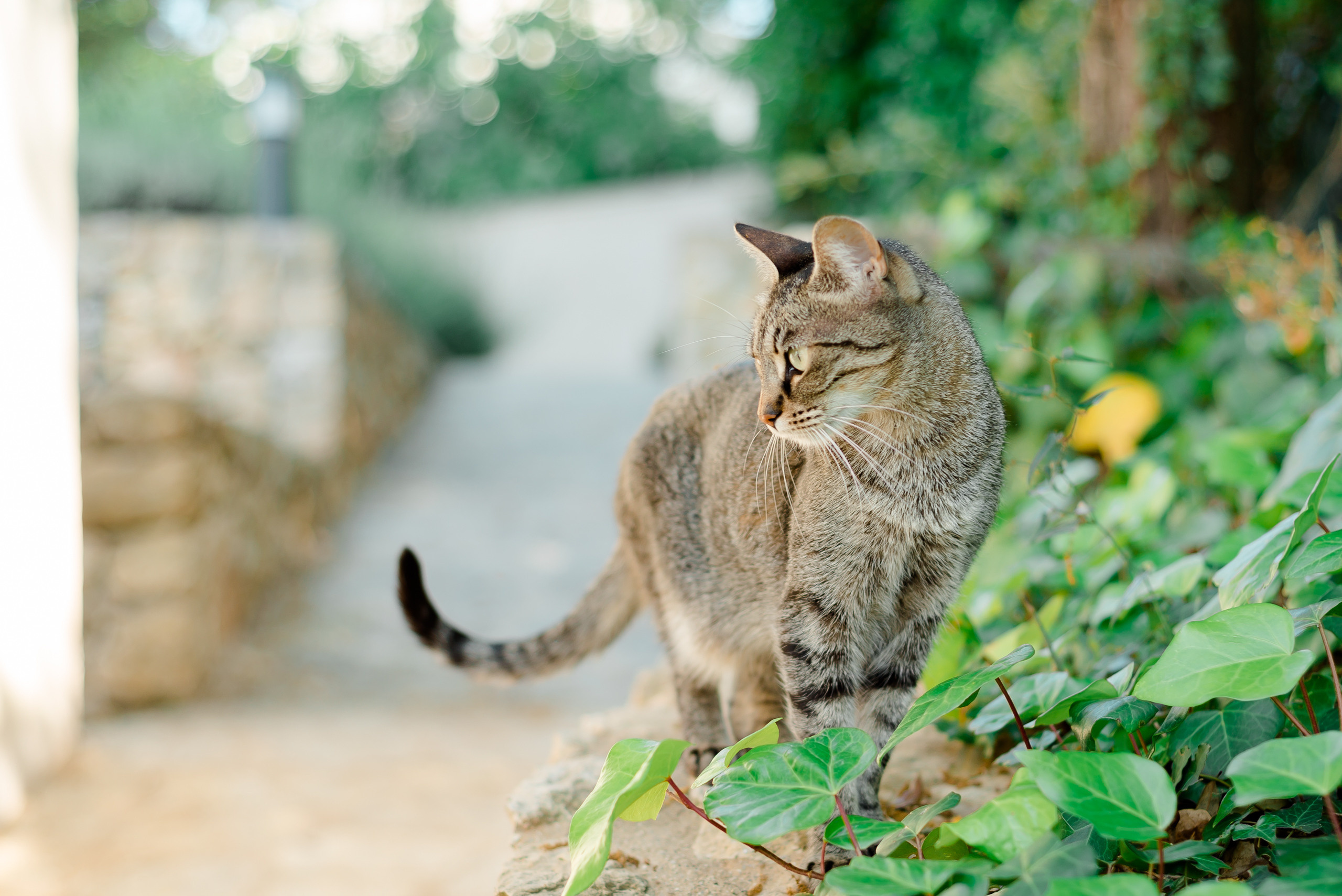 К&Б. МАРИЯ ВАЛУЕВА Фотограф в Ницце, Каннах, Монако, Франции, Европе. Фотограф в Стамбуле