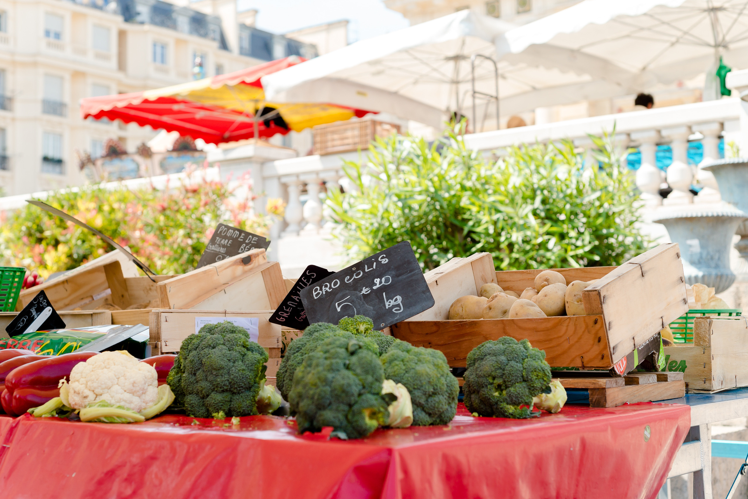Un jour à Nice. Famille H&T. MARIA VALUEVA Photographer in Nice, Cannes, Monaco, France, Europe, Istanbulm Turquie