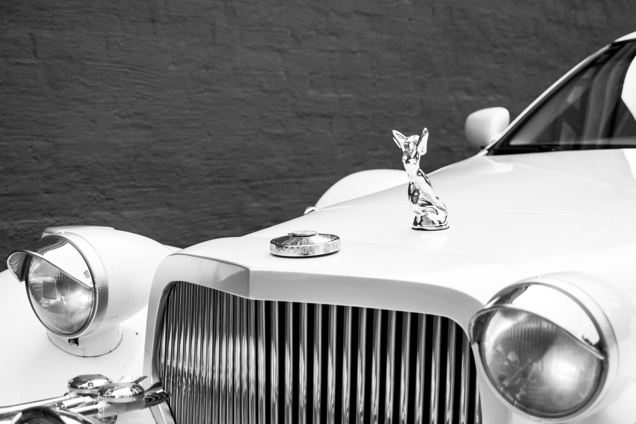 K&V. MARIA VALUEVA Photographer in Nice, Cannes, Monaco, France, Europe, Istanbul, Turkey