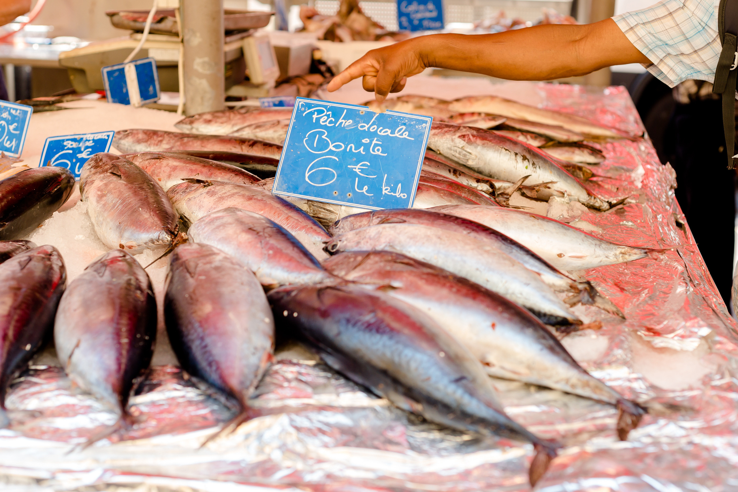 Un jour à Nice. Famille H&T. MARIA VALUEVA Photographer in Nice, Cannes, Monaco, France, Europe, Istanbulm Turquie