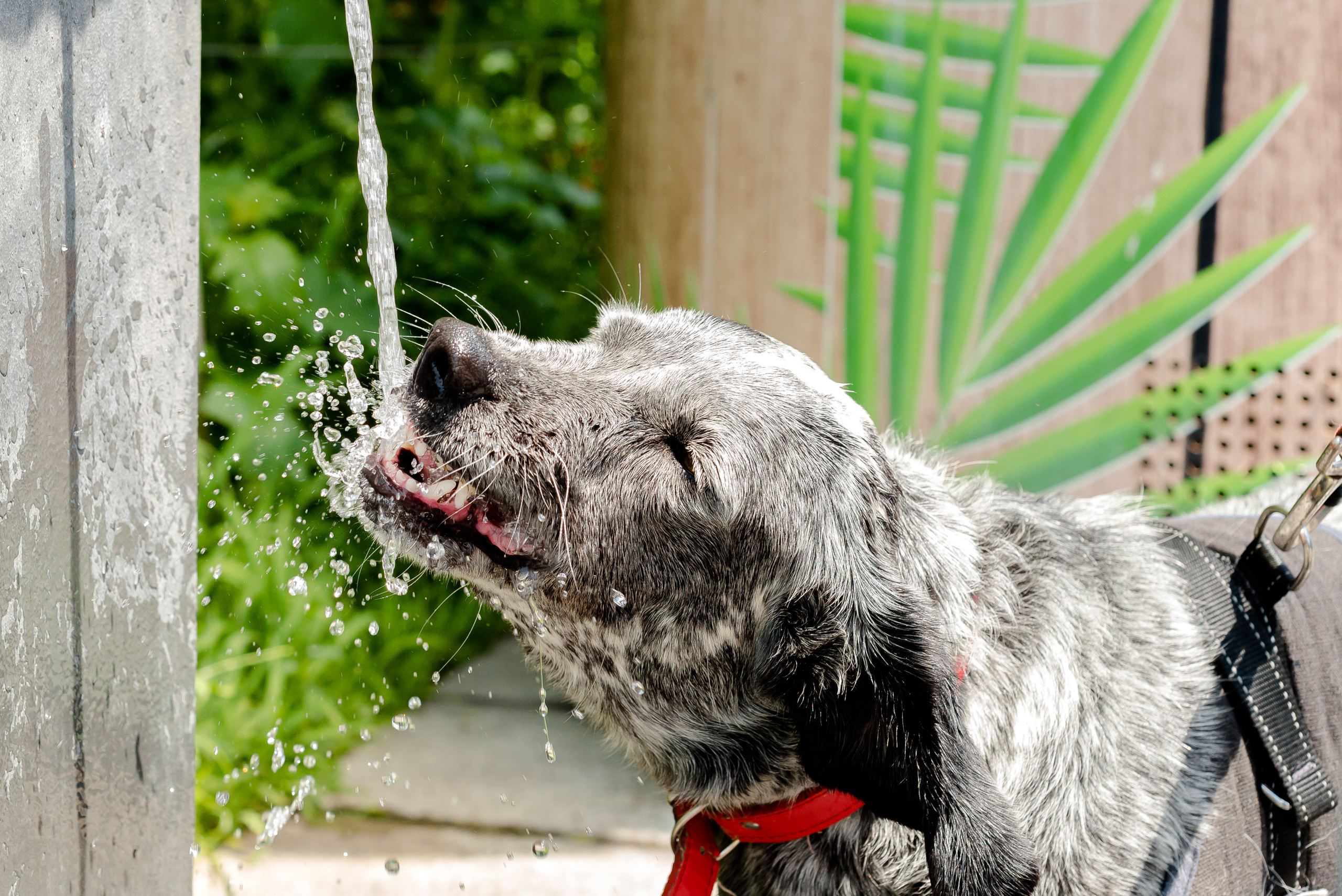 Un jour à Nice. Famille H&T. MARIA VALUEVA Photographer in Nice, Cannes, Monaco, France, Europe, Istanbulm Turquie