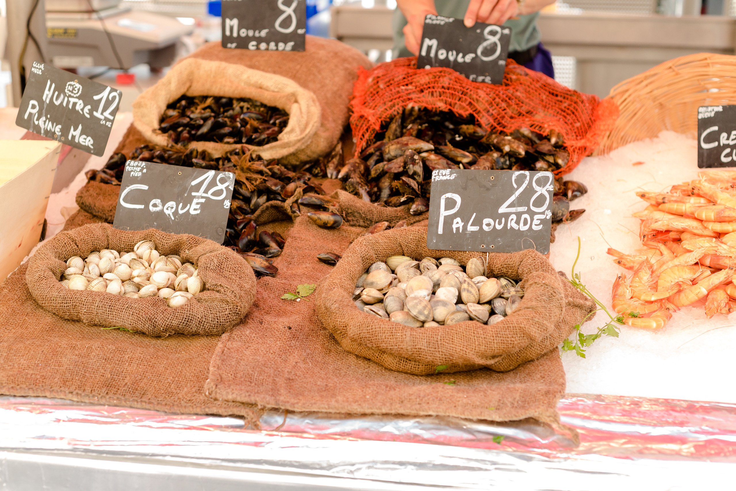 Un jour à Nice. Famille H&T. MARIA VALUEVA Photographer in Nice, Cannes, Monaco, France, Europe, Istanbulm Turquie