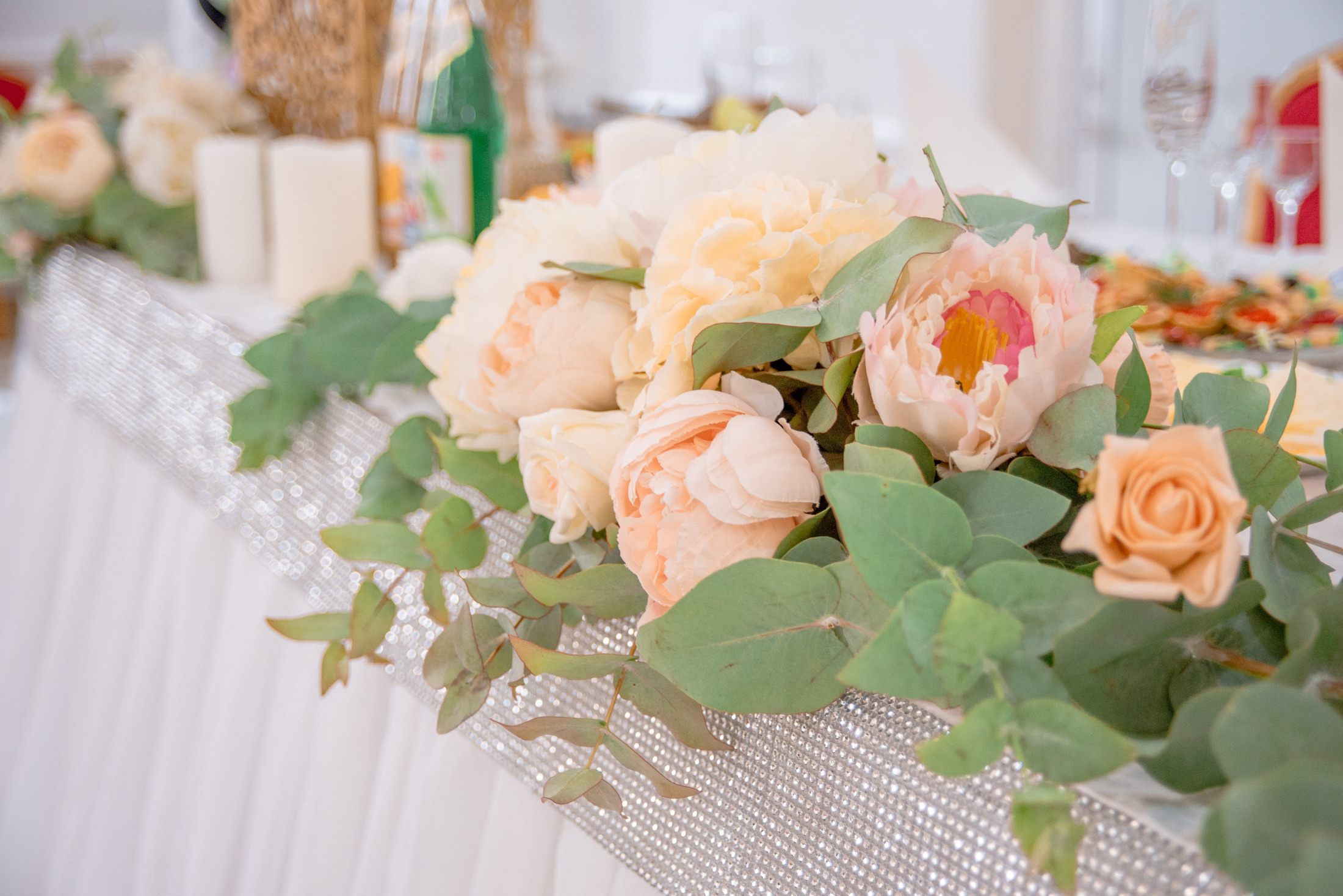 L&S. MARIA VALUEVA Photographer in Nice, Cannes, Monaco, France, Europe, Istanbul, Turkey