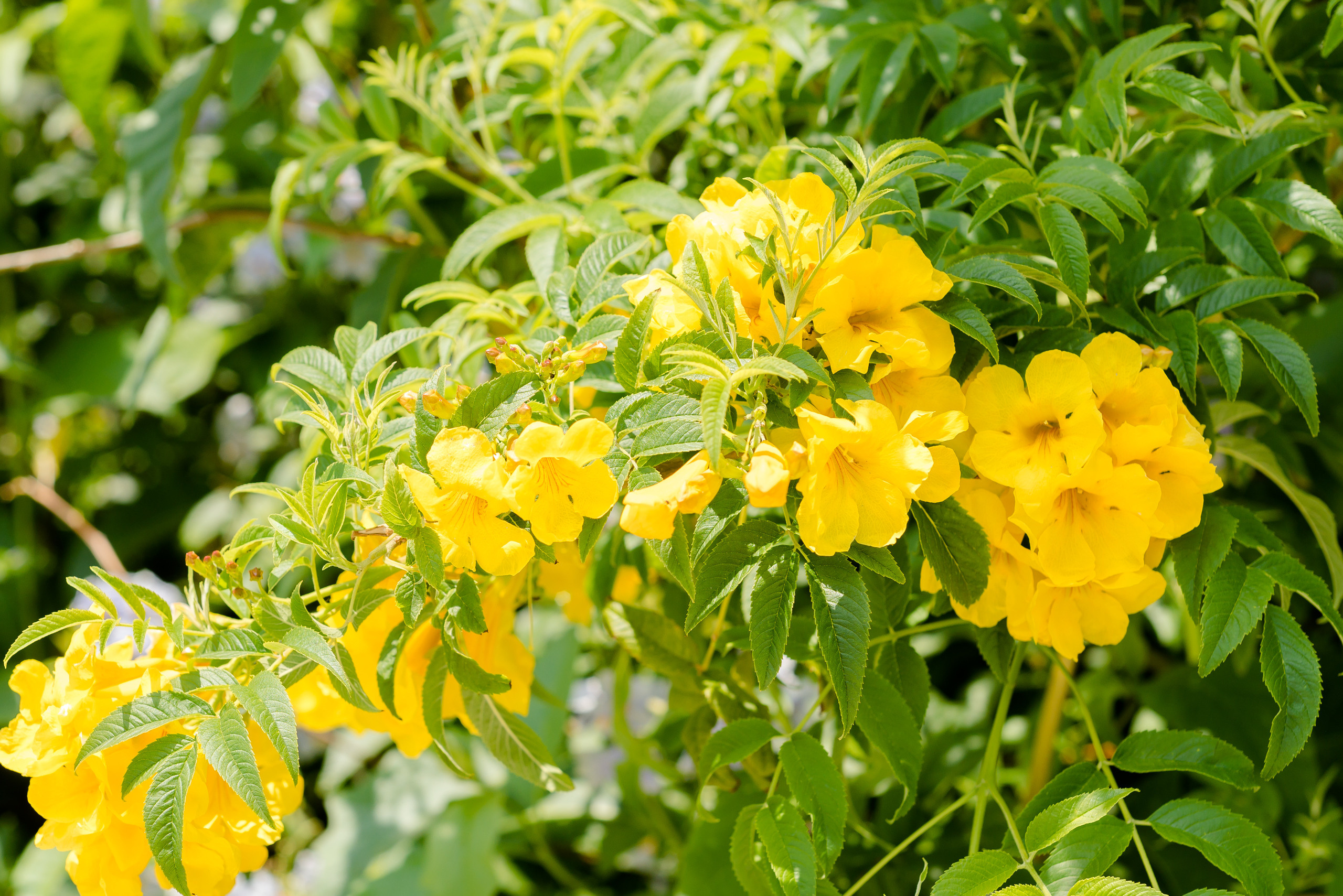 Un jour à Nice. Famille H&T. MARIA VALUEVA Photographer in Nice, Cannes, Monaco, France, Europe, Istanbulm Turquie