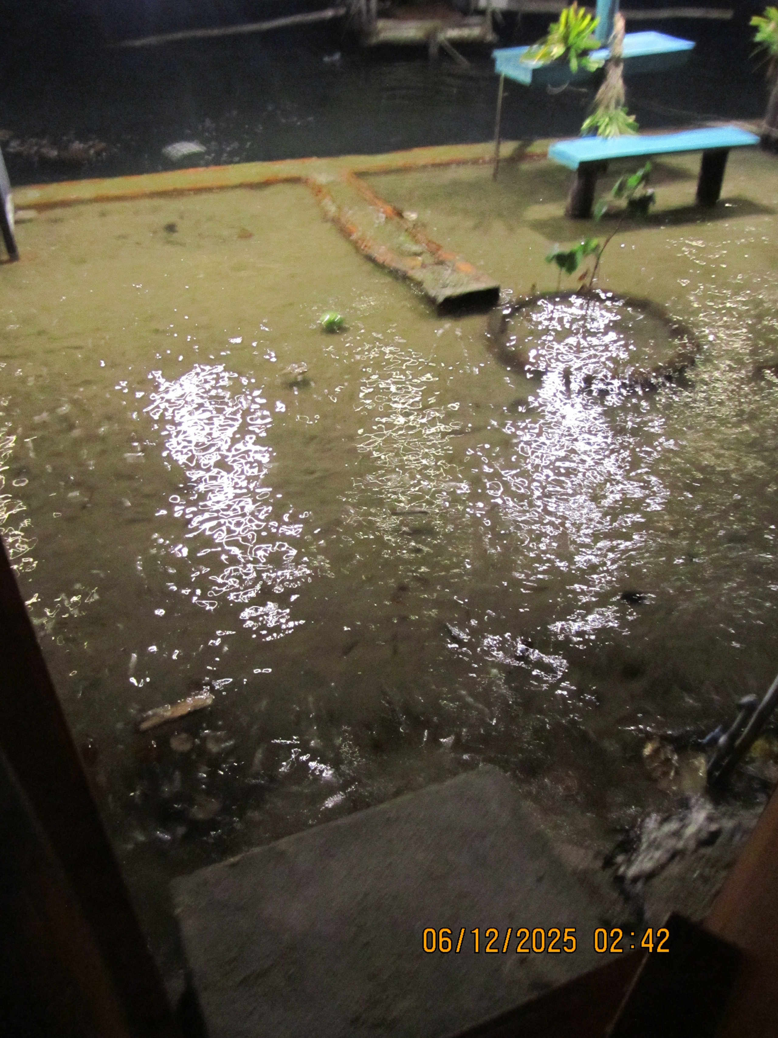 Kaheteistkümnes päev. LondoSpeed Photography