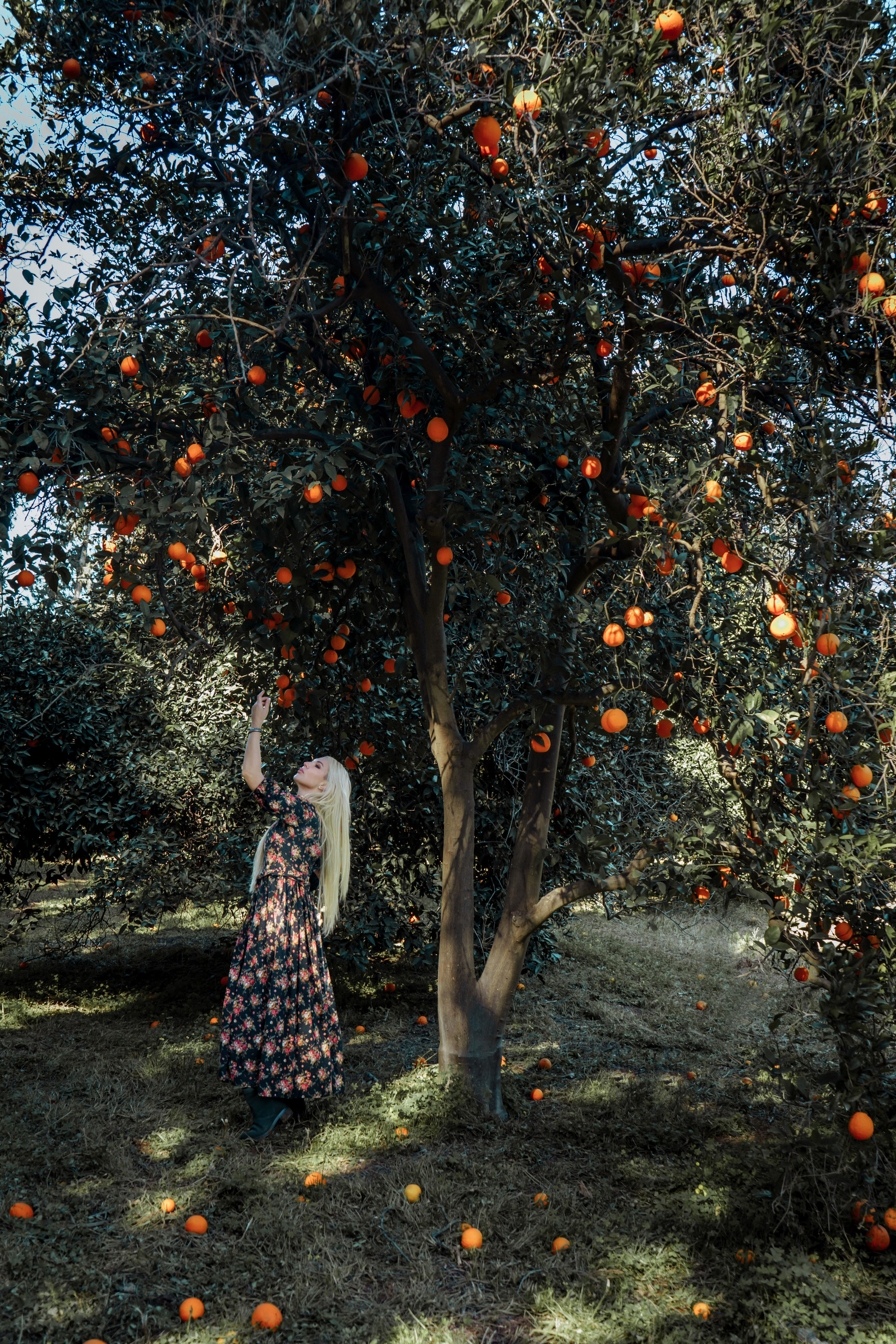 Olga. Семейный и детский фотограф на Кипре Елена