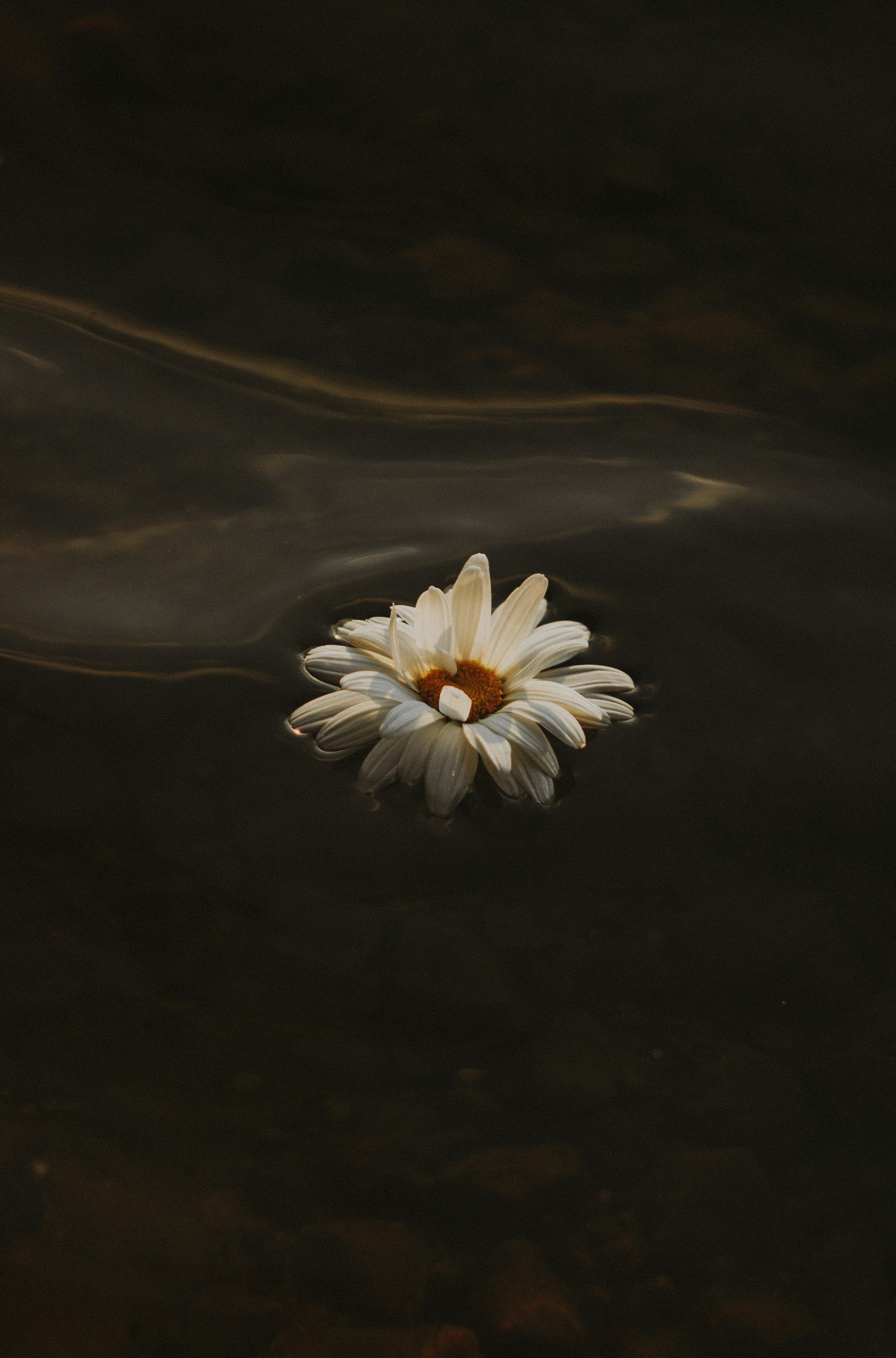 Gabrielė. Fotografė Aleksandra Samozvanova