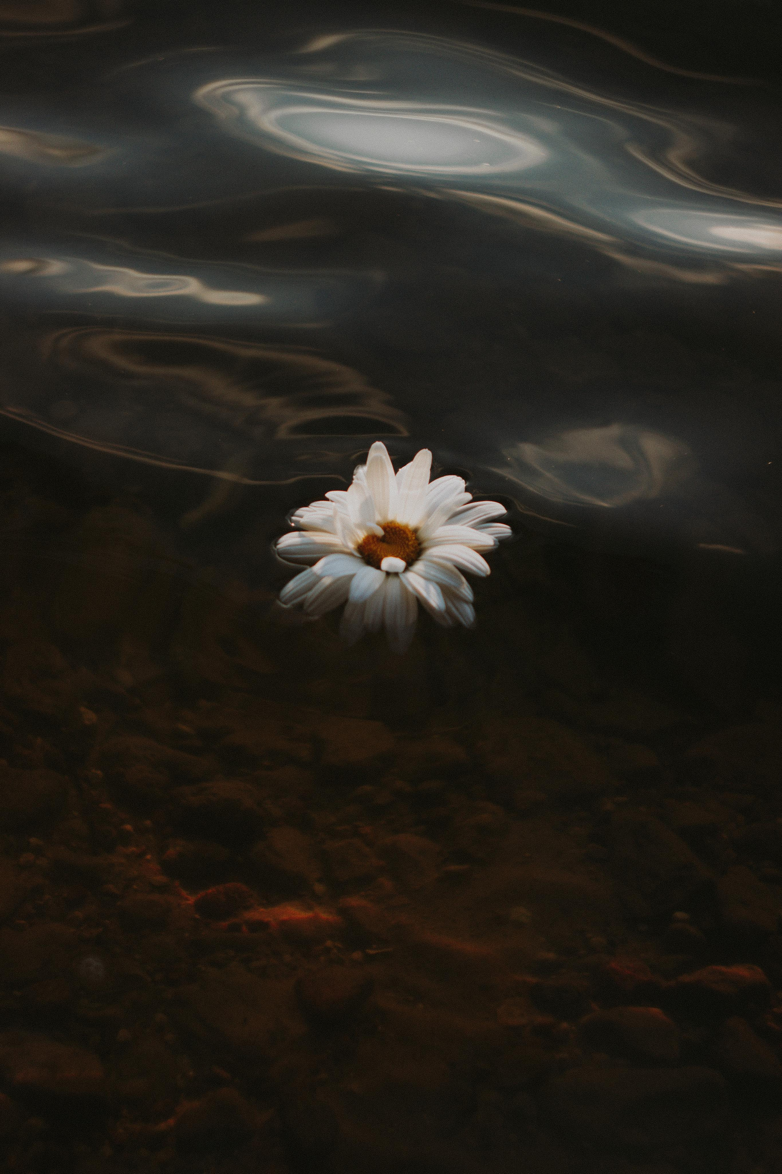 Gabrielė. Fotografė Aleksandra Samozvanova