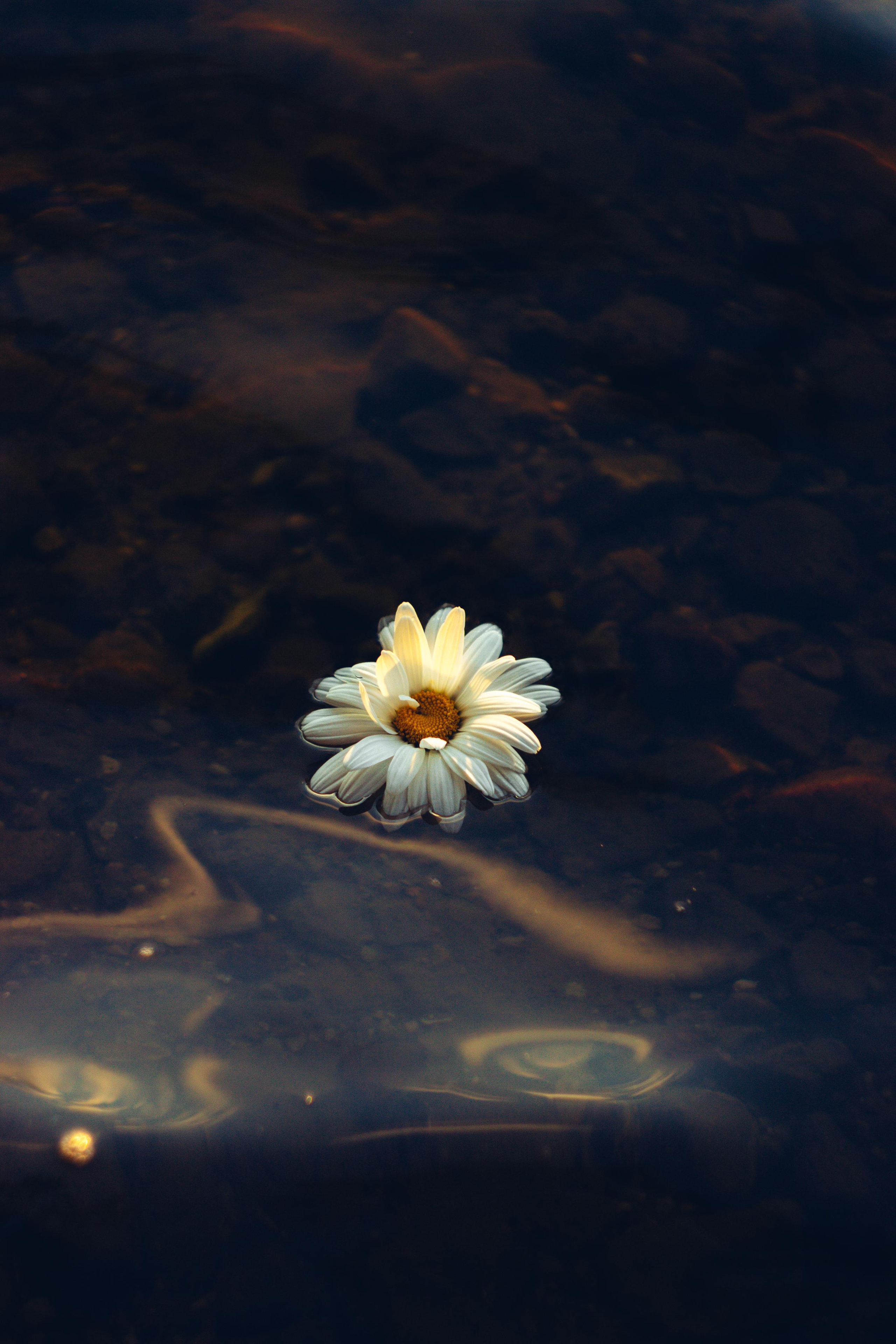 Gabrielė. Fotografė Aleksandra Samozvanova