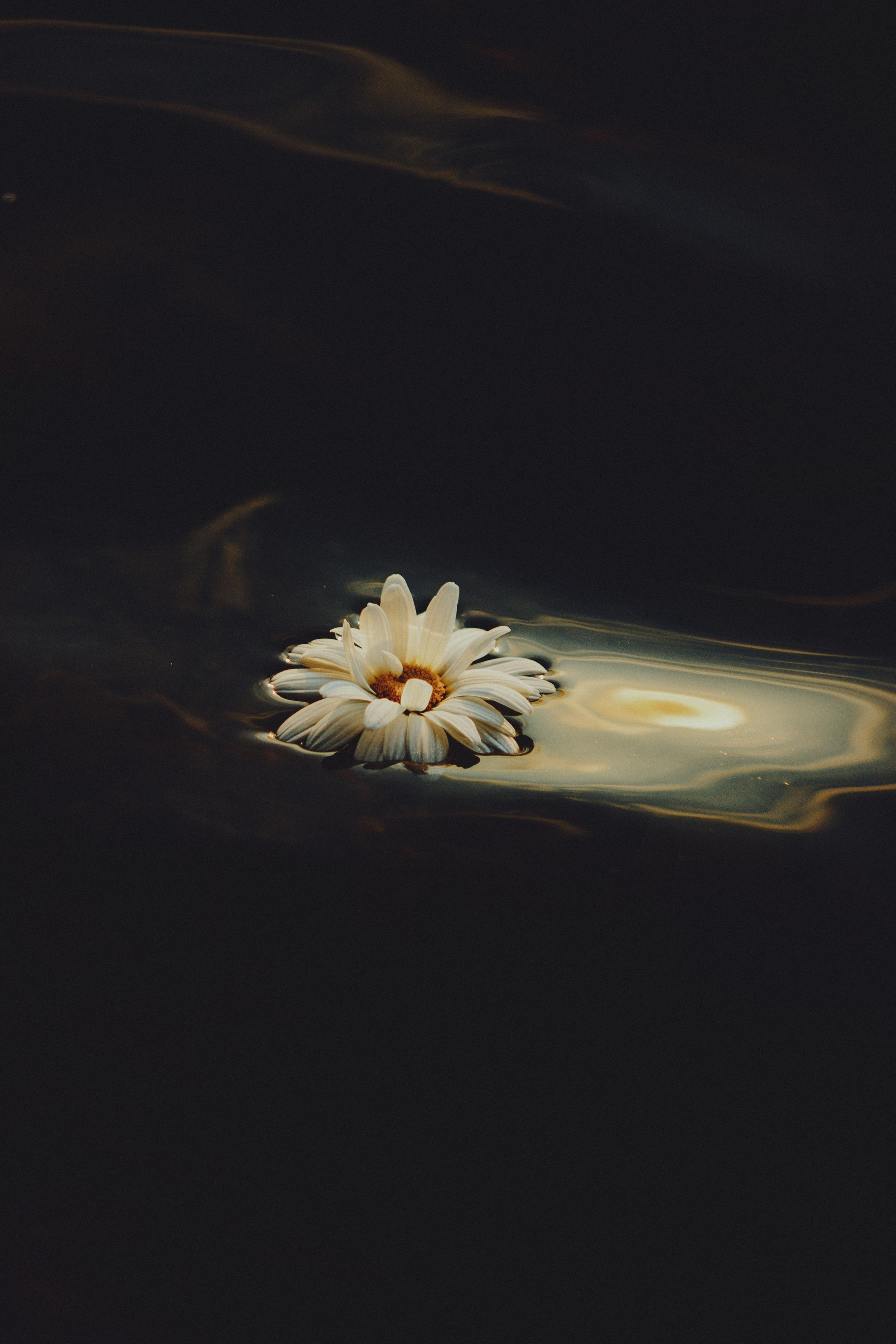 Gabrielė. Fotografė Aleksandra Samozvanova