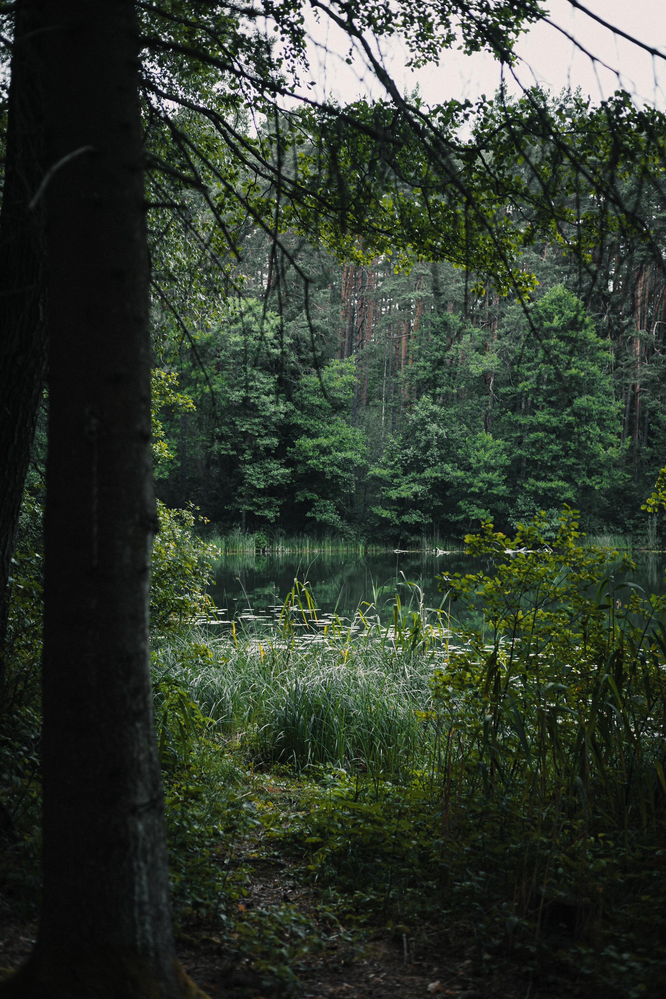 Ineta & Kamilė. Fotografė Aleksandra Samozvanova