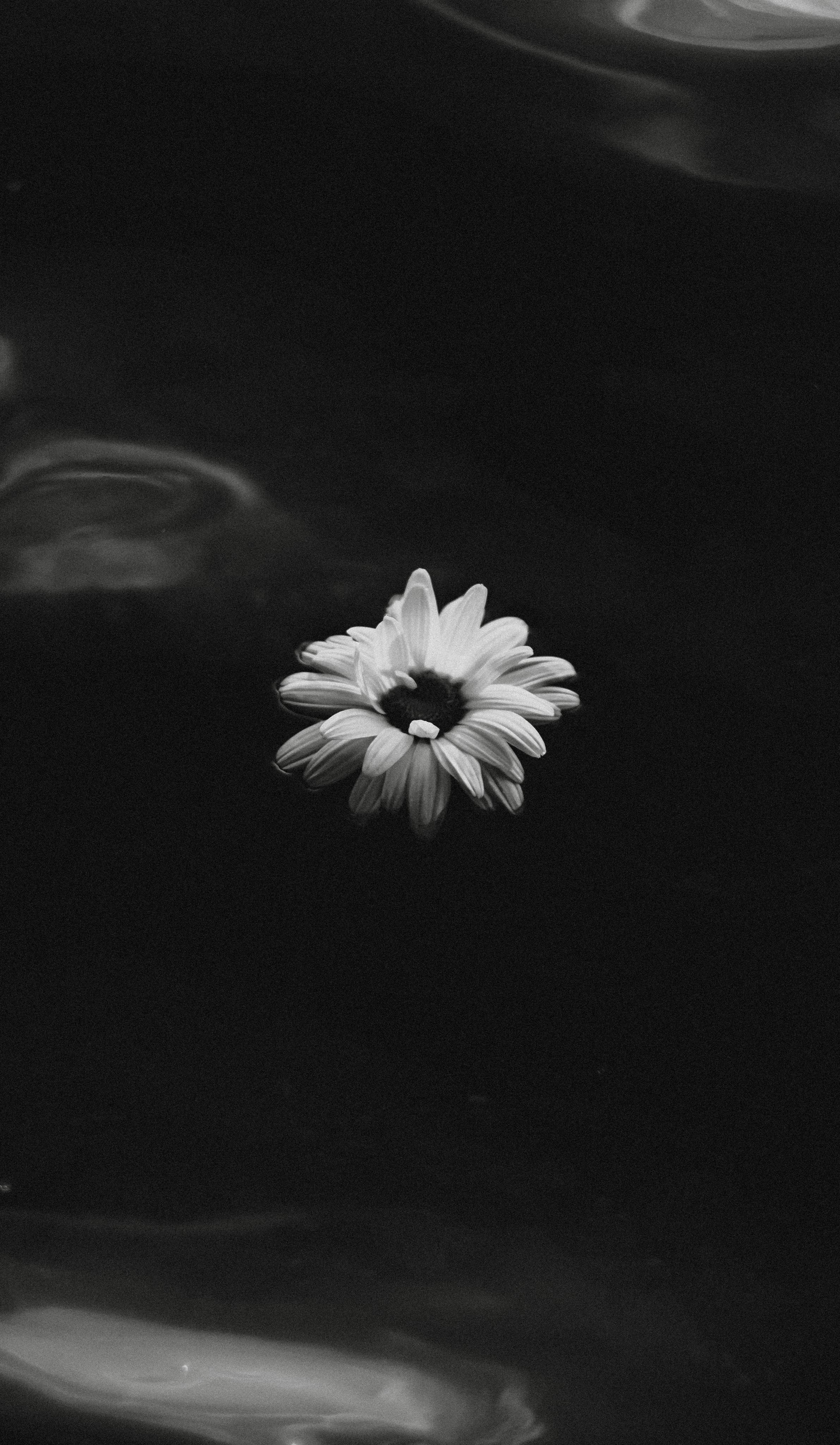 Gabrielė. Fotografė Aleksandra Samozvanova