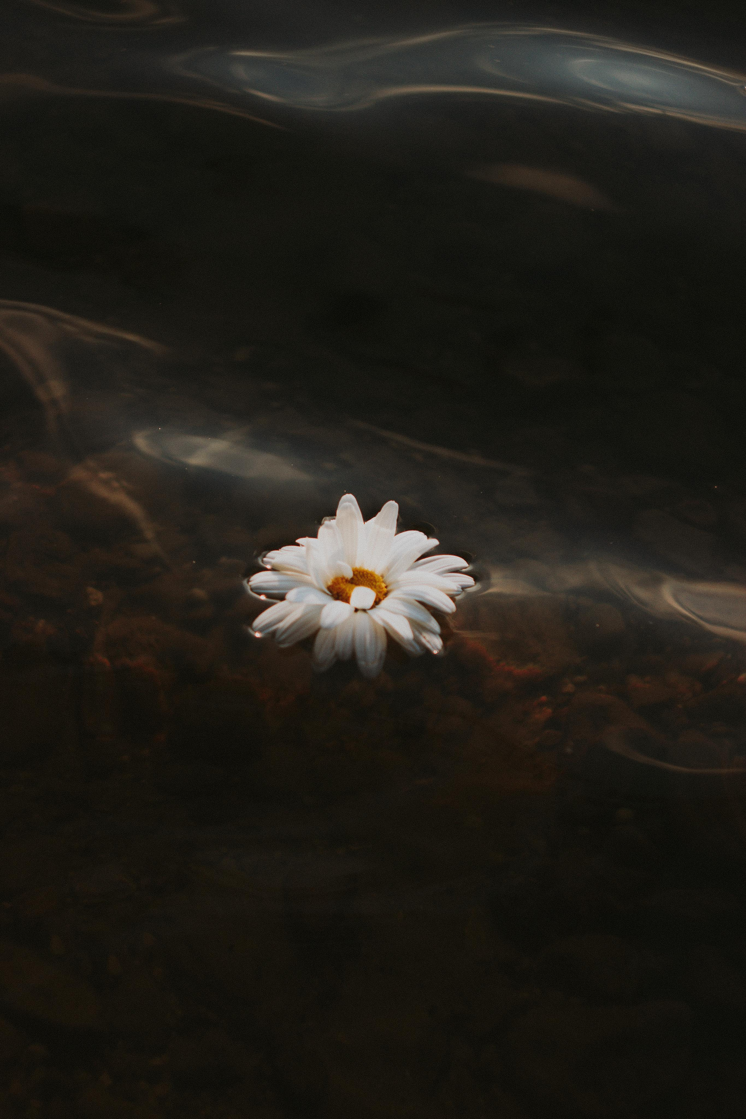 Gabrielė. Fotografė Aleksandra Samozvanova