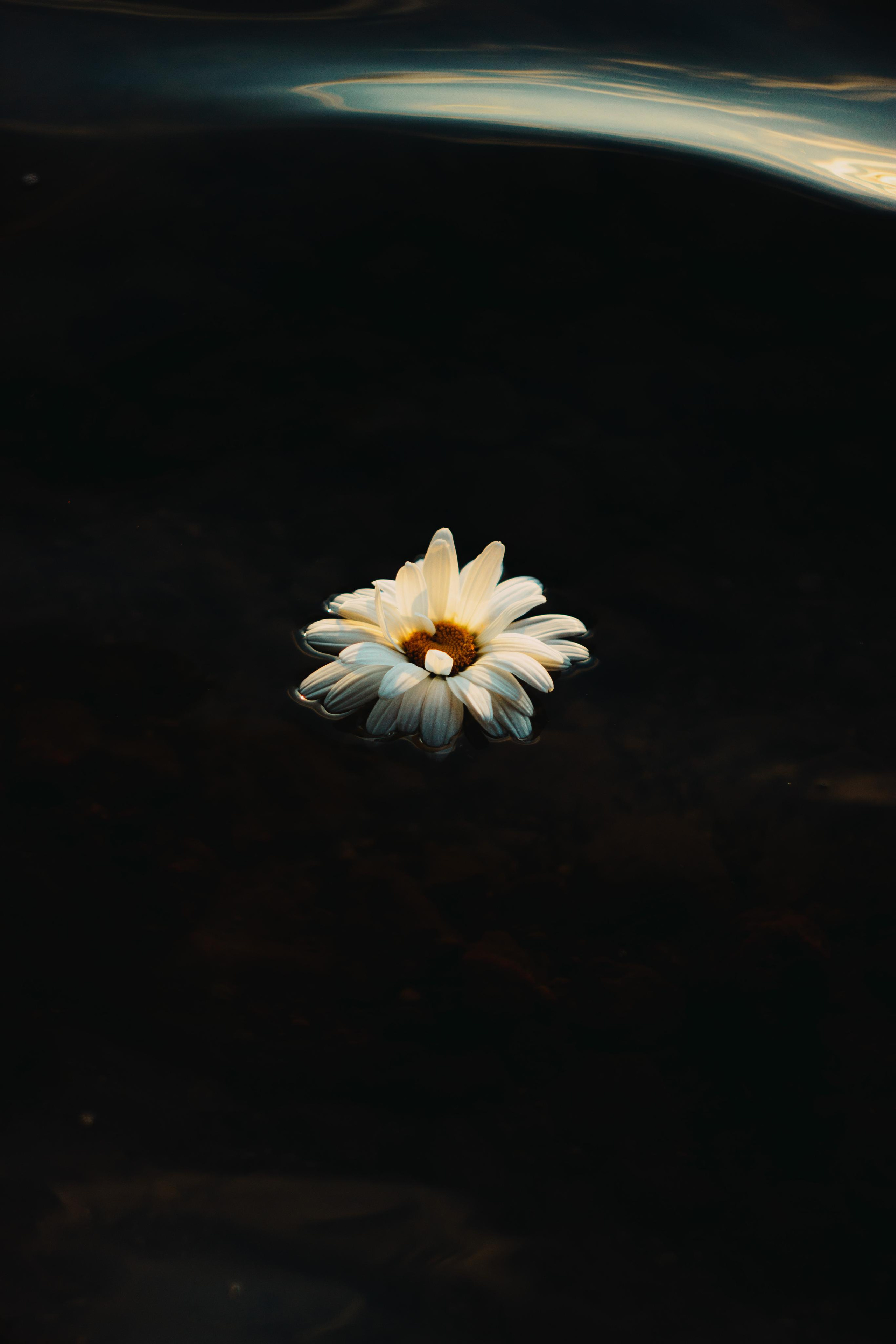 Gabrielė. Fotografė Aleksandra Samozvanova