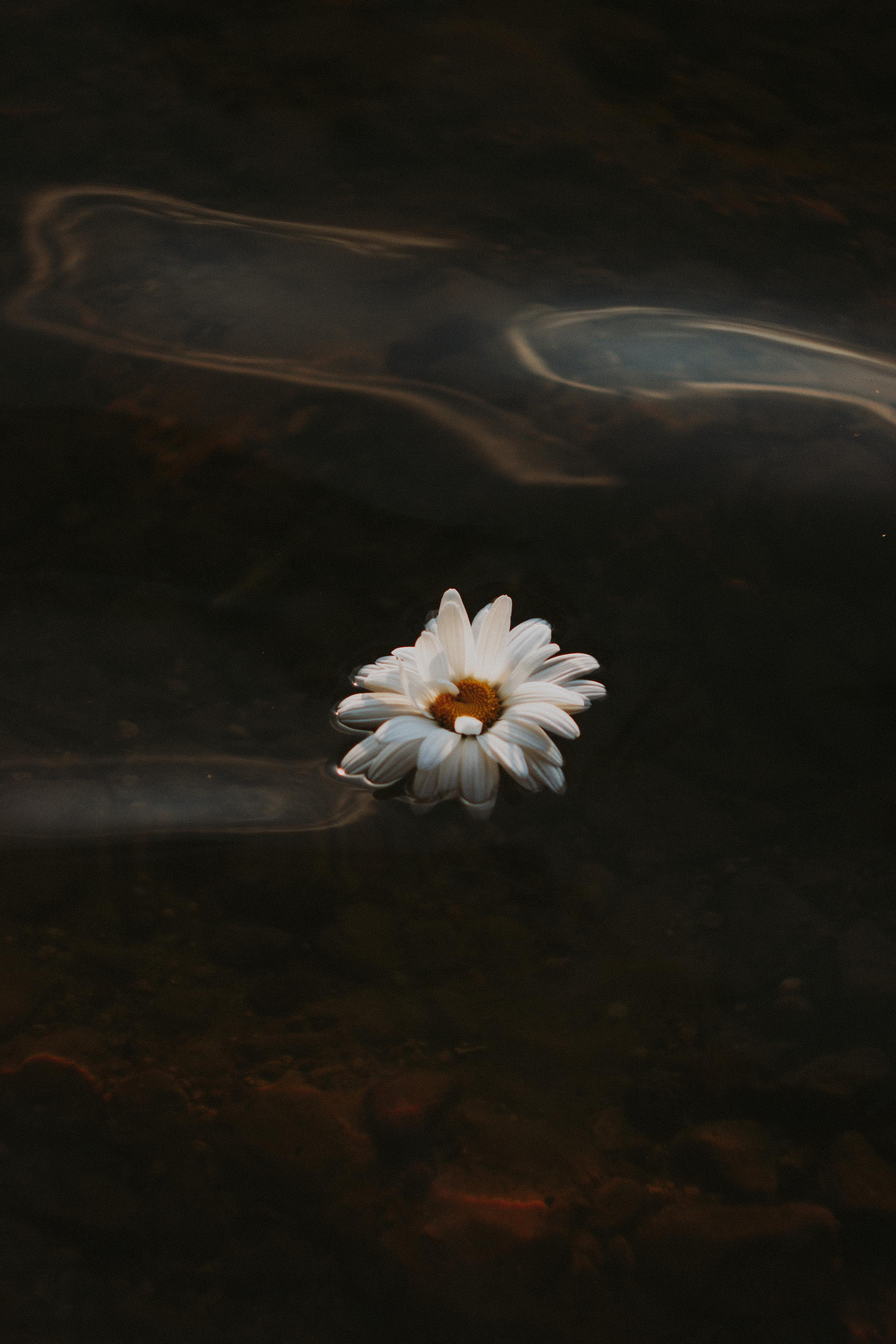 Gabrielė. Fotografė Aleksandra Samozvanova