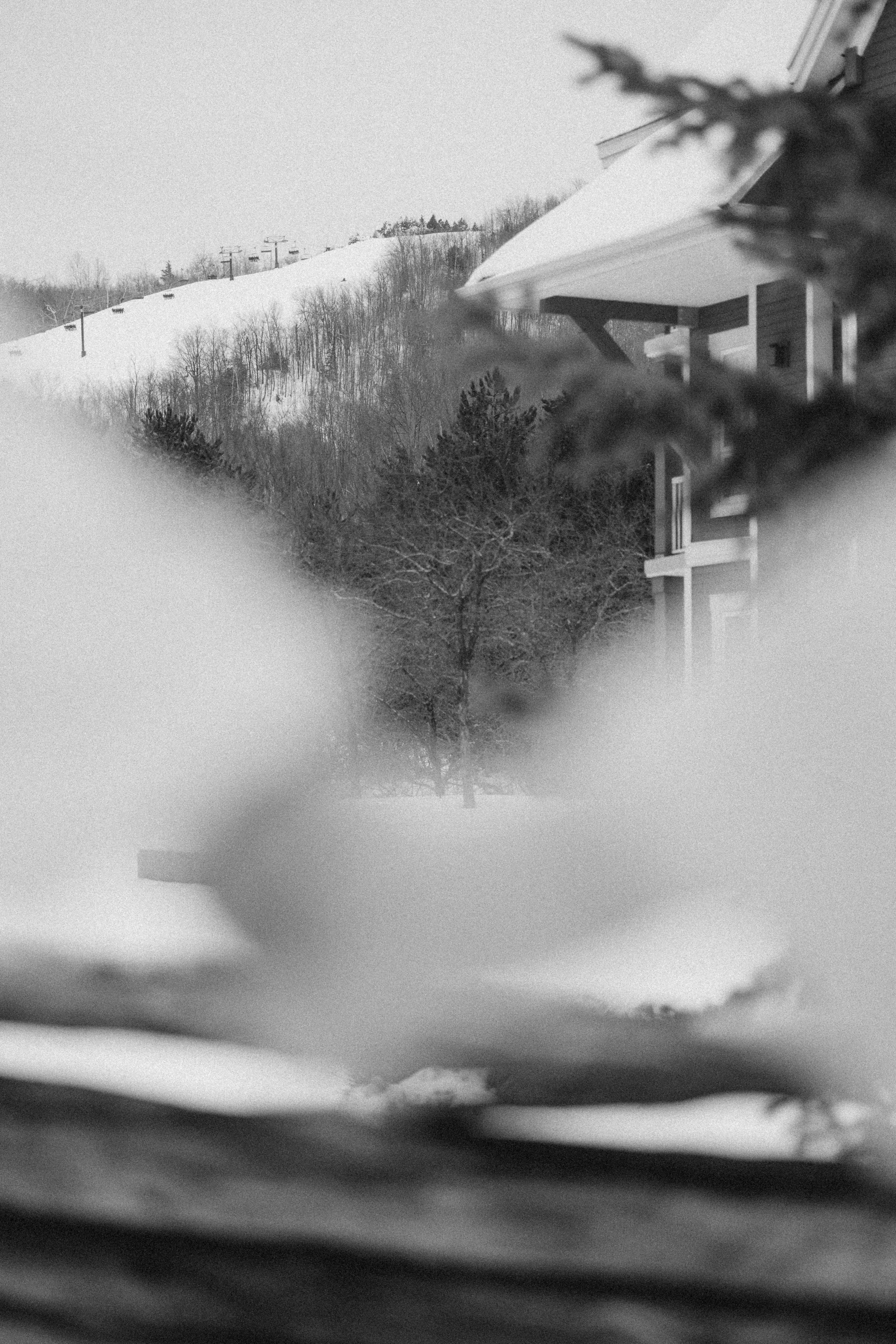 Marianna & Alex. Chernenko.photography