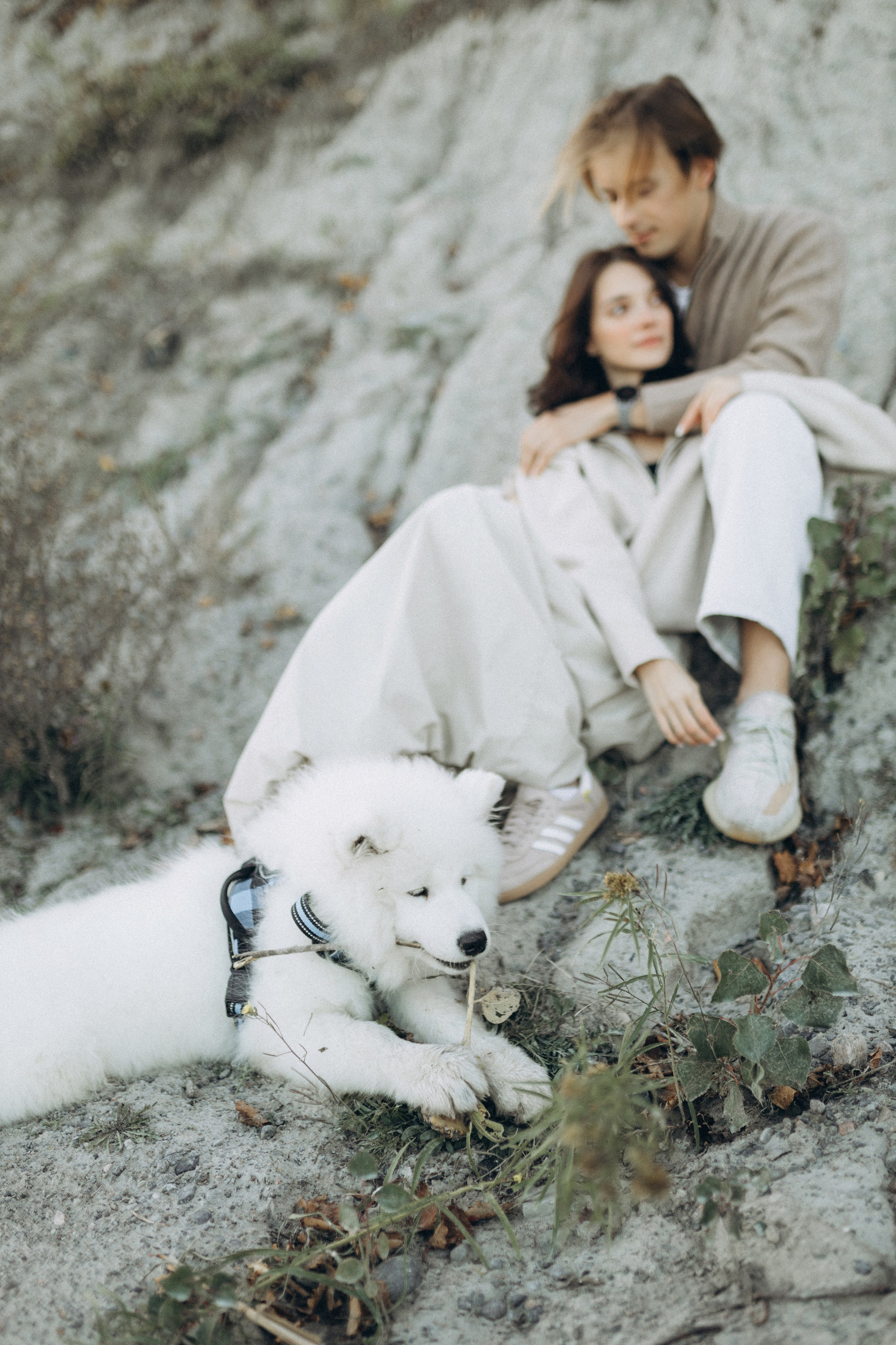 Adam & Maya. Chernenko.photography