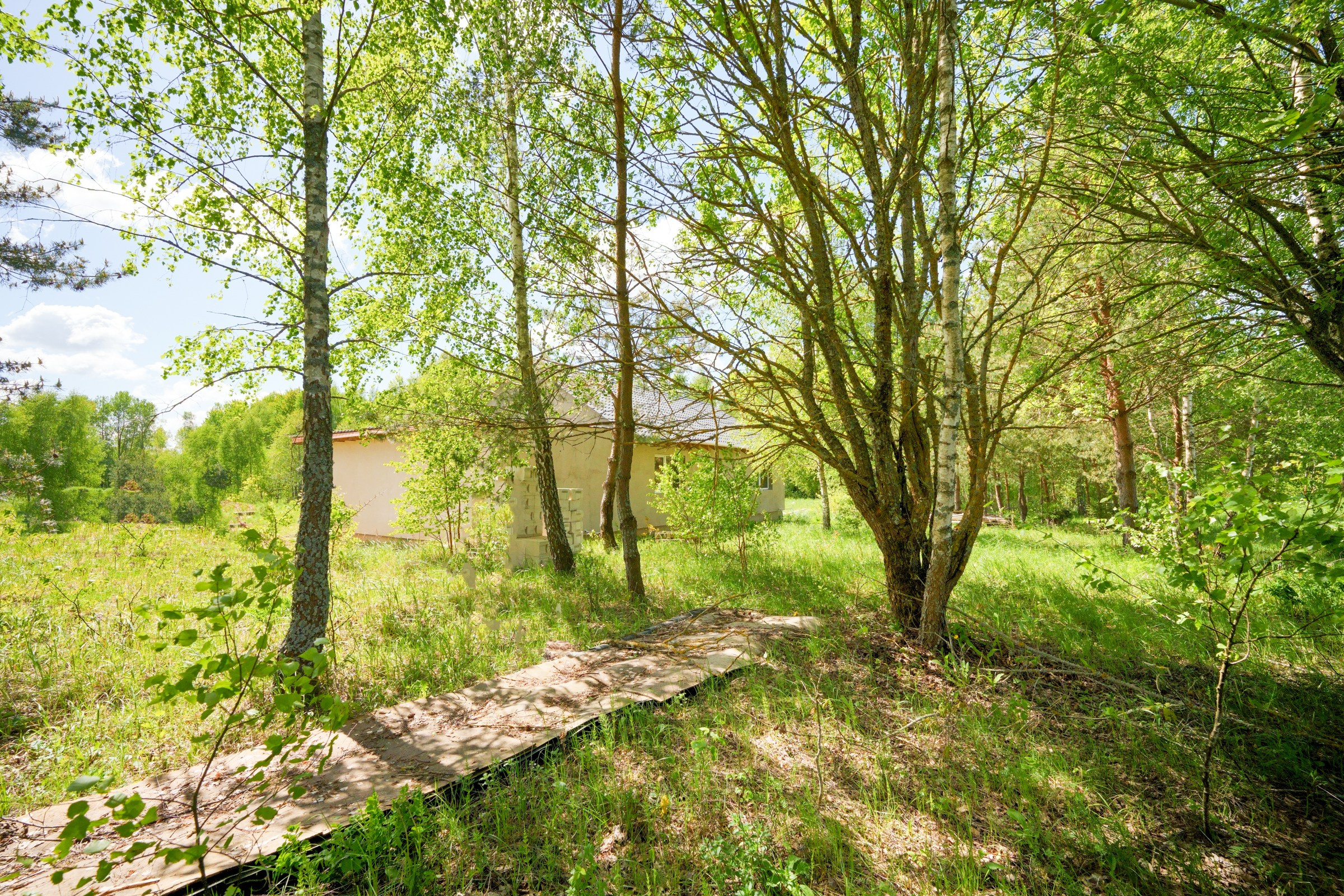 Kernavė. Elina Sapiega fotografė Vilniuje