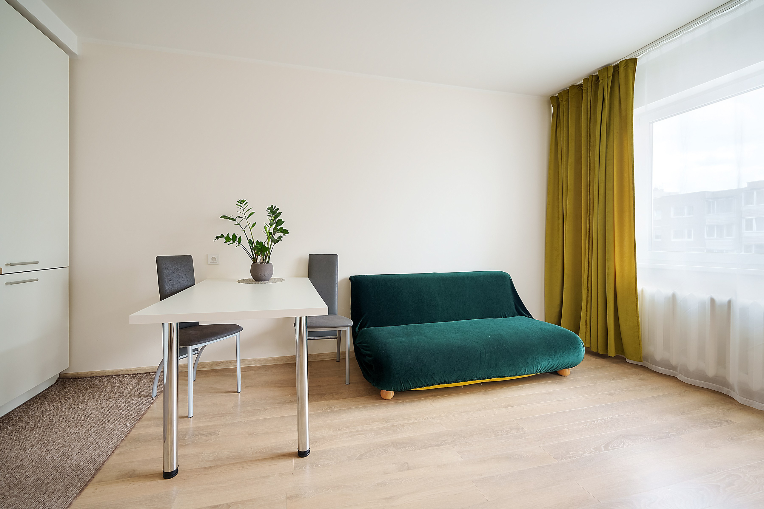 Stanevičiaus g. 64. Elina Sapiega fotografė Vilniuje