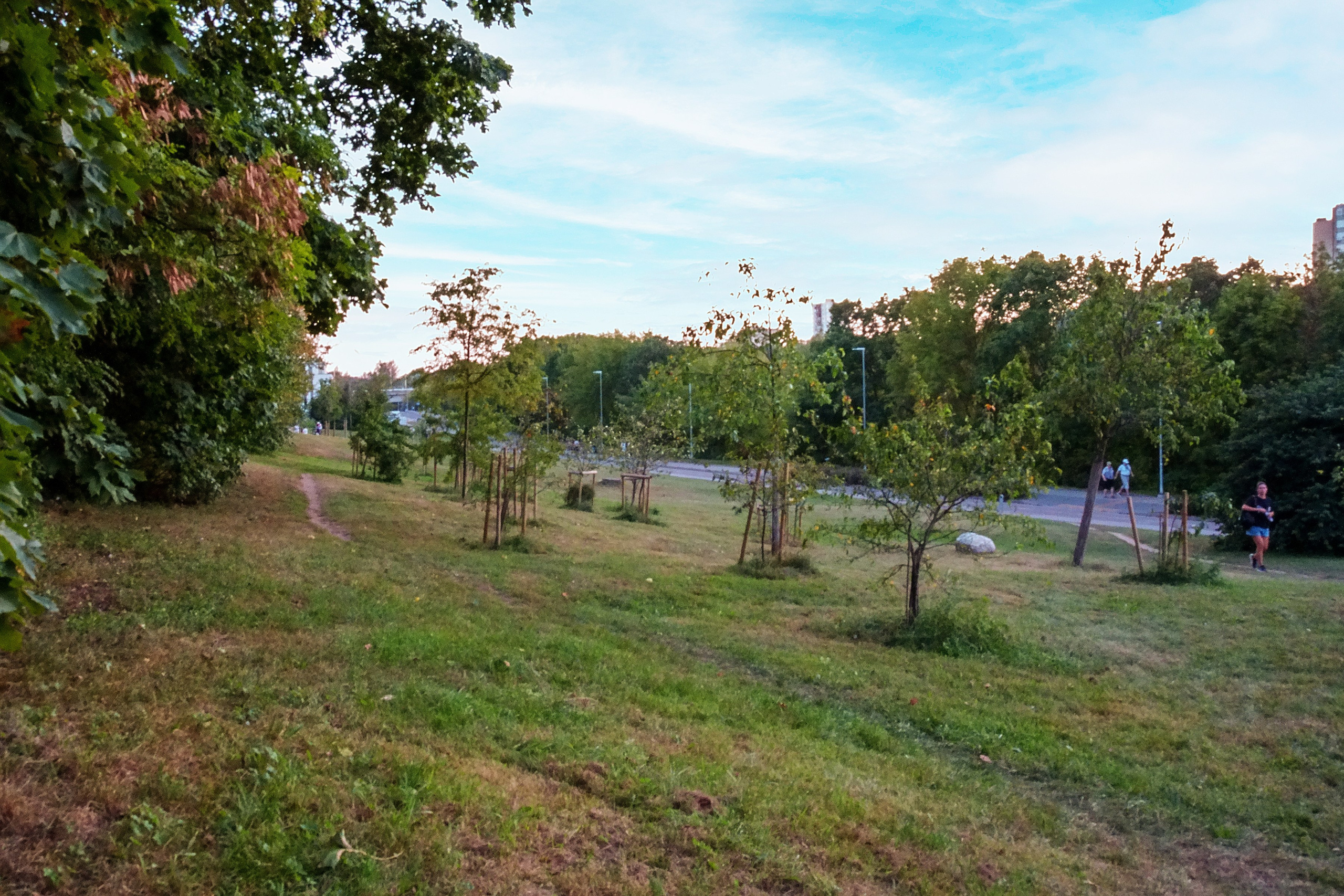 Vileišio g. 24. Elina Sapiega fotografė Vilniuje