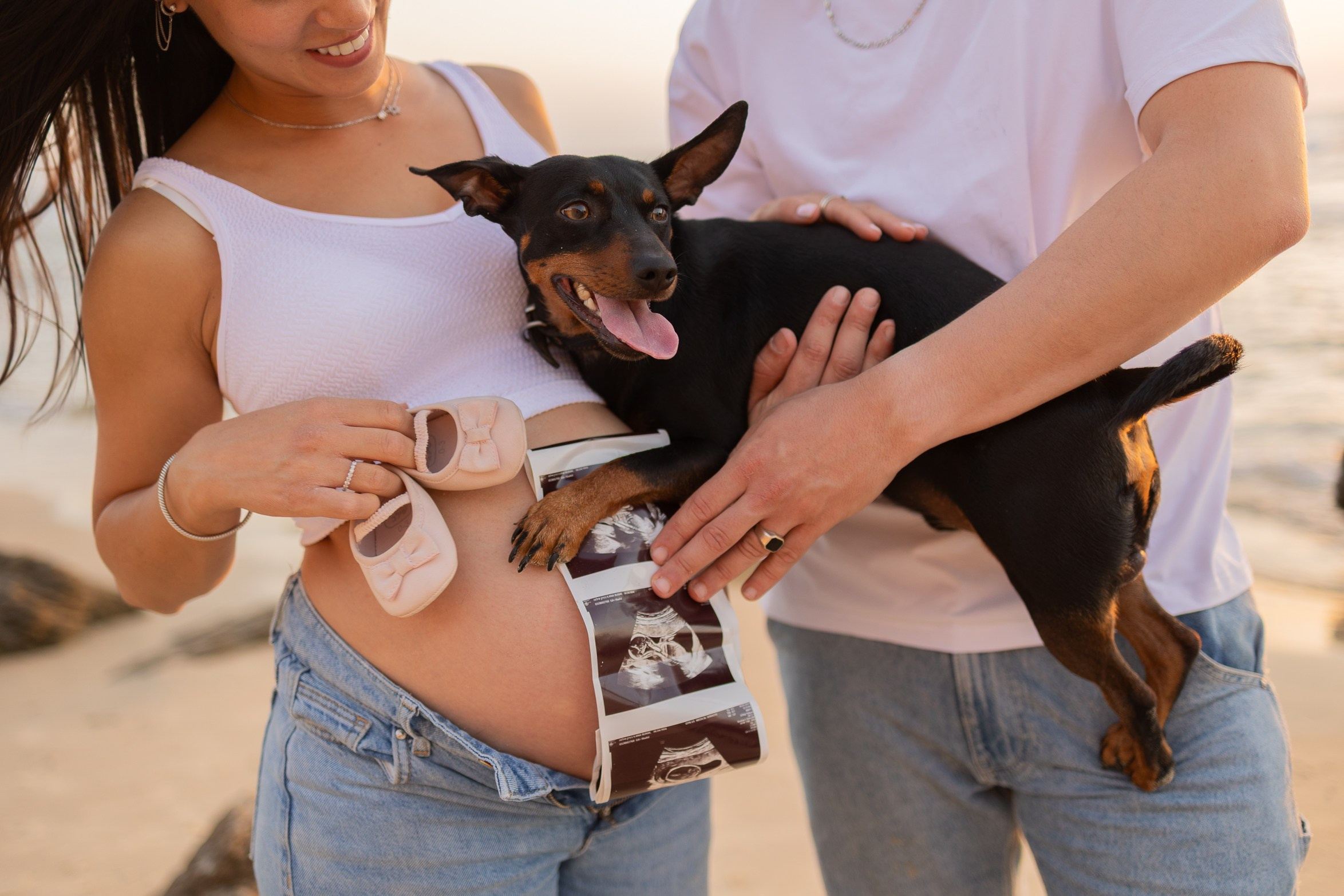 צילומי הריון עם כלב מתוק. דף בית